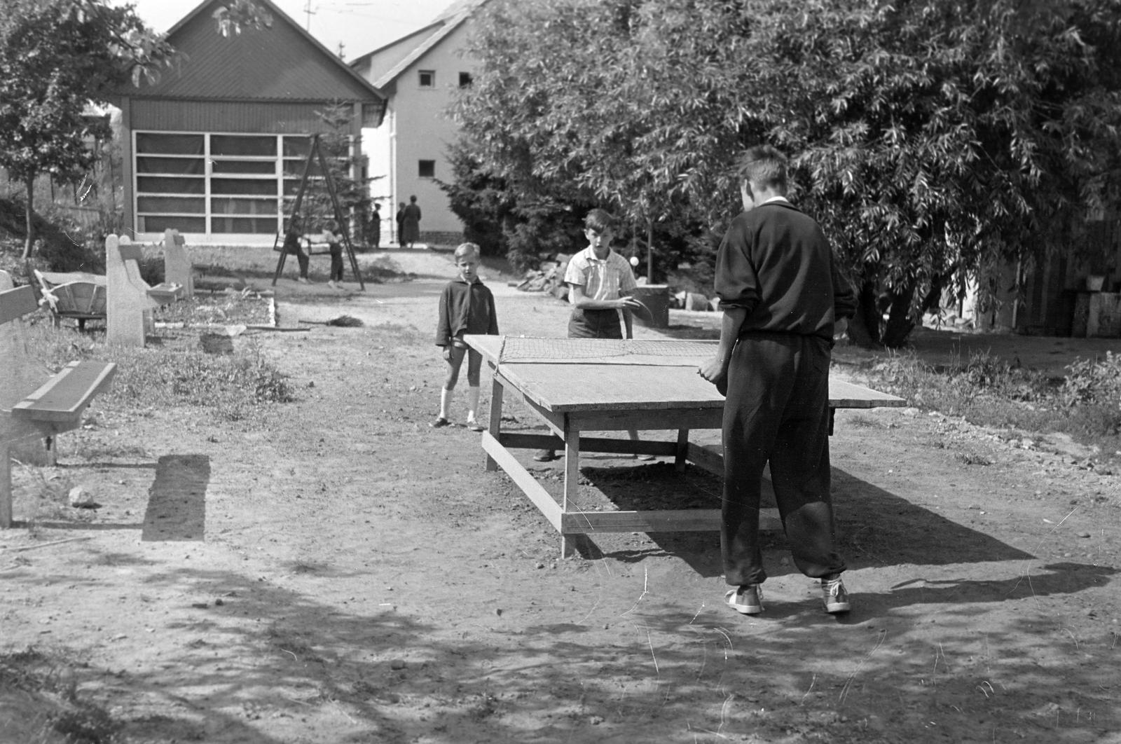 1962, Bordács Ferenc, Fortepan #309719