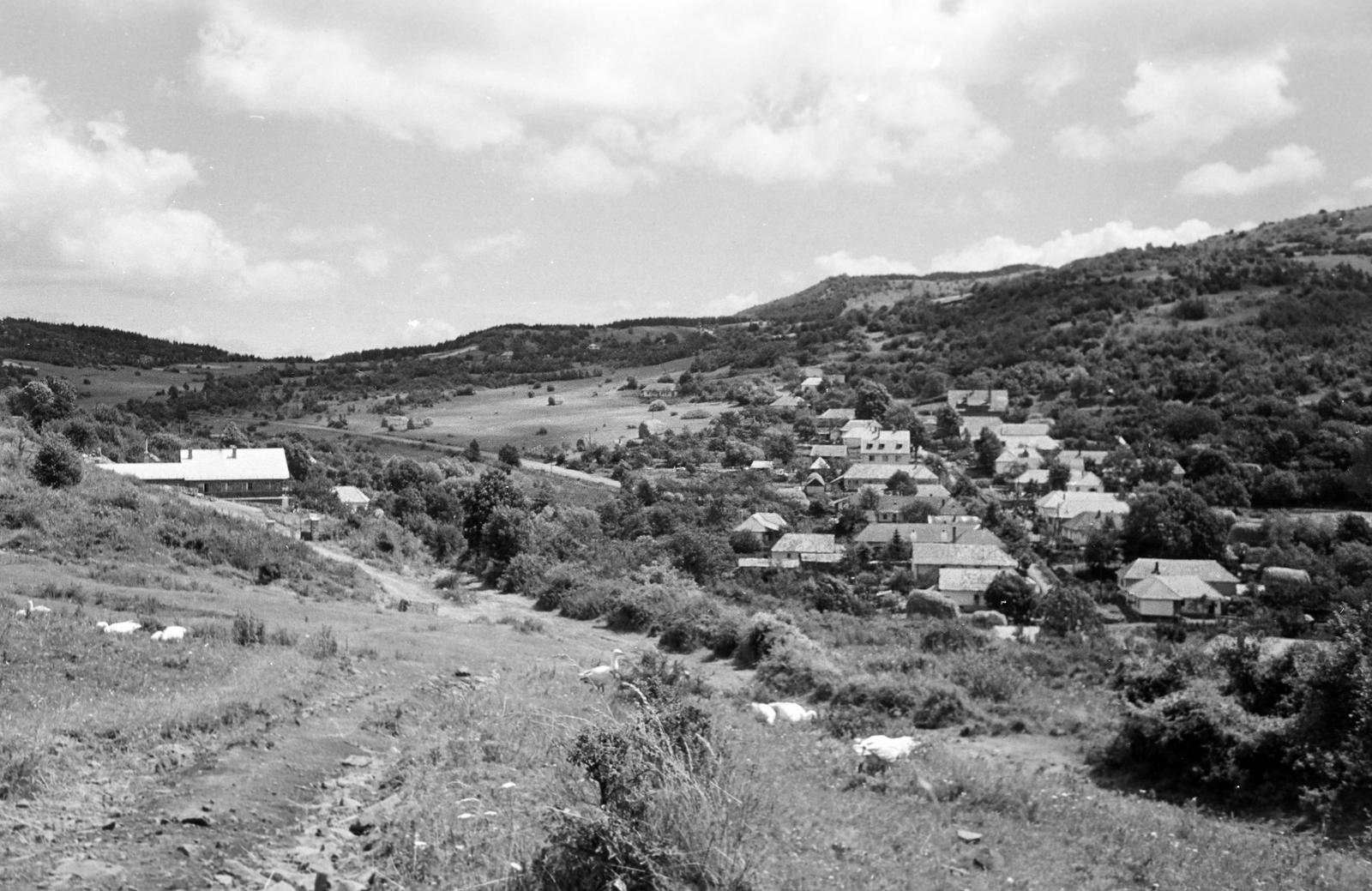 1963, Bordács Ferenc, Fortepan #309733