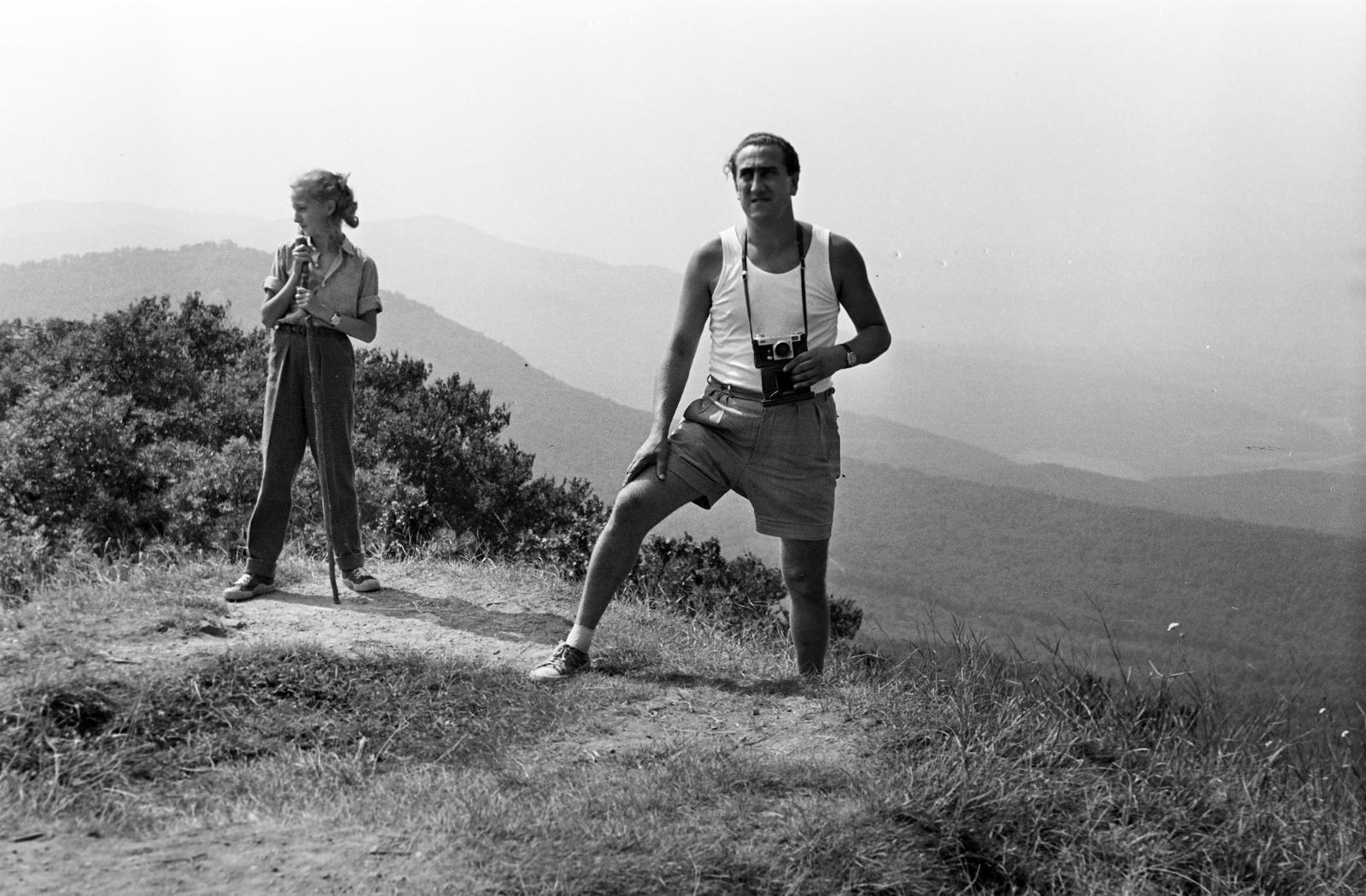 1960, Bordács Ferenc, Fortepan #309746