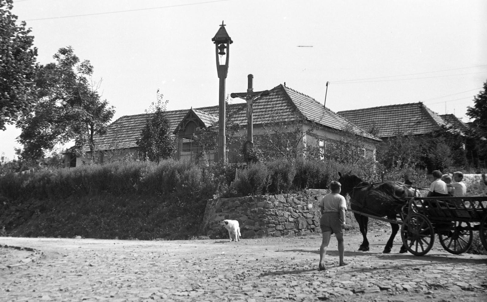 1960, Bordács Ferenc, Fortepan #309751