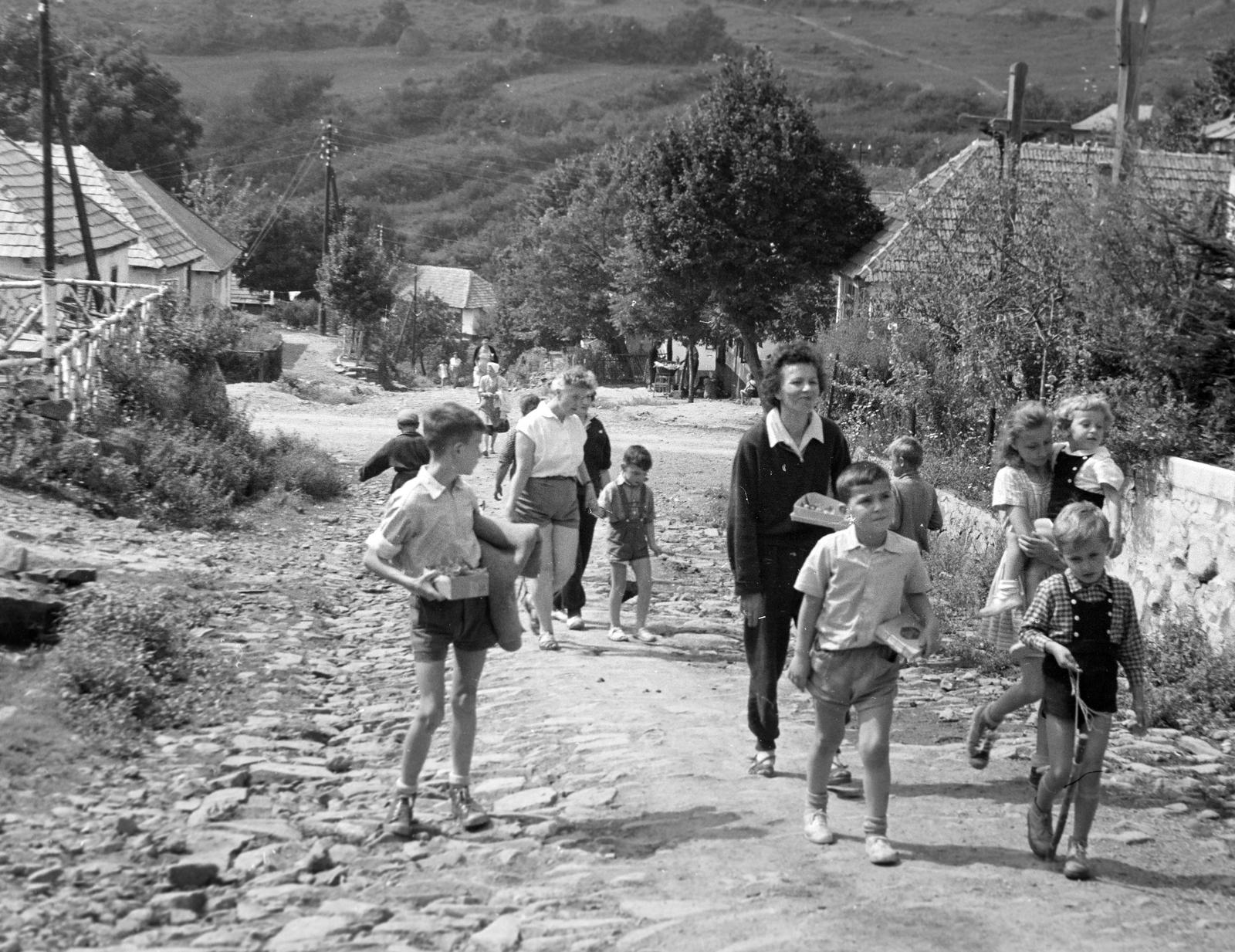 1960, Bordács Ferenc, Fortepan #309752