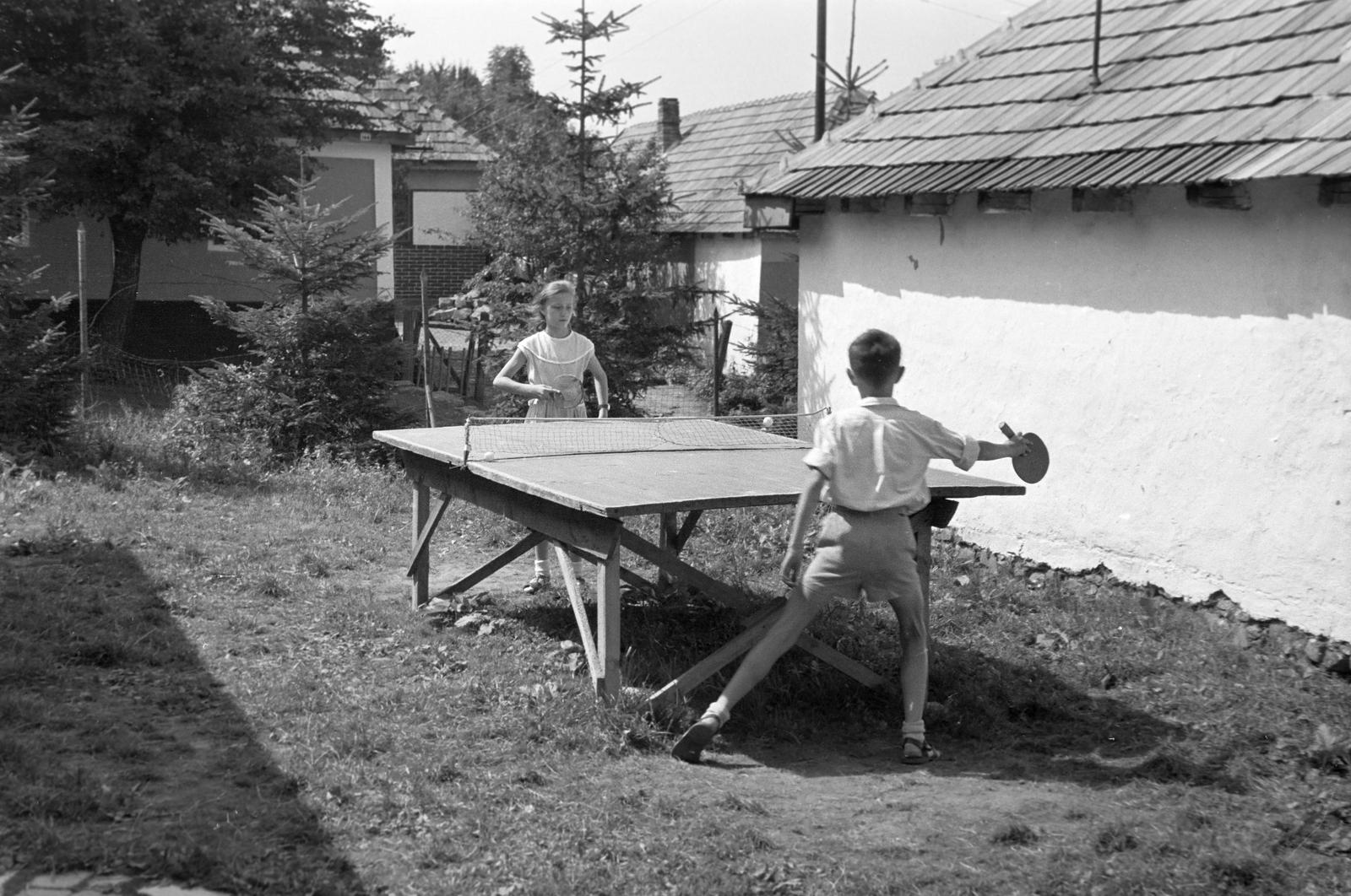 1960, Bordács Ferenc, Fortepan #309753