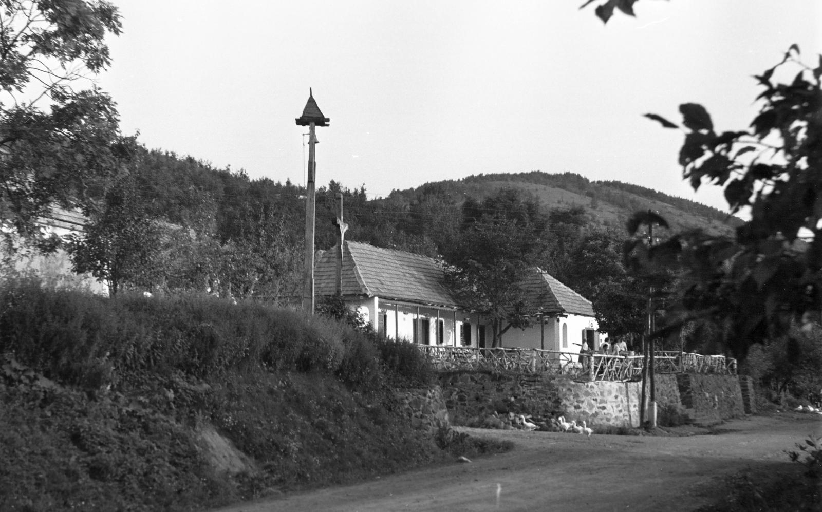 1960, Bordács Ferenc, Fortepan #309761