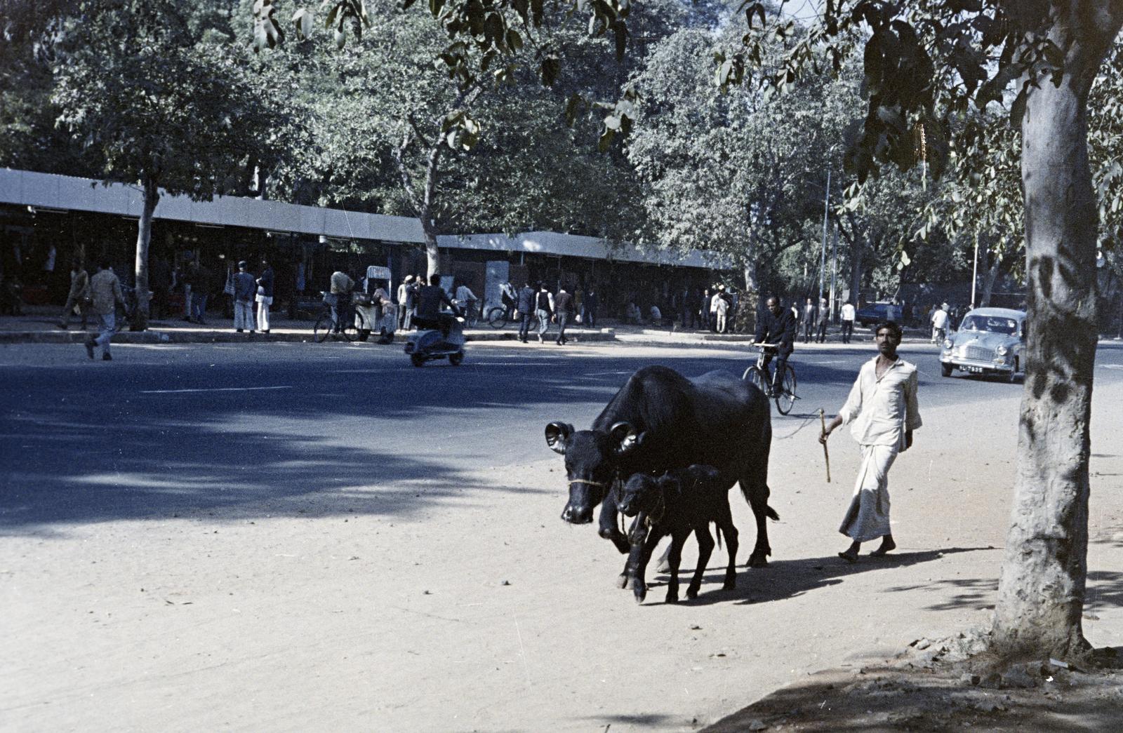 1966, Fortepan/Album 121, Fortepan #309858