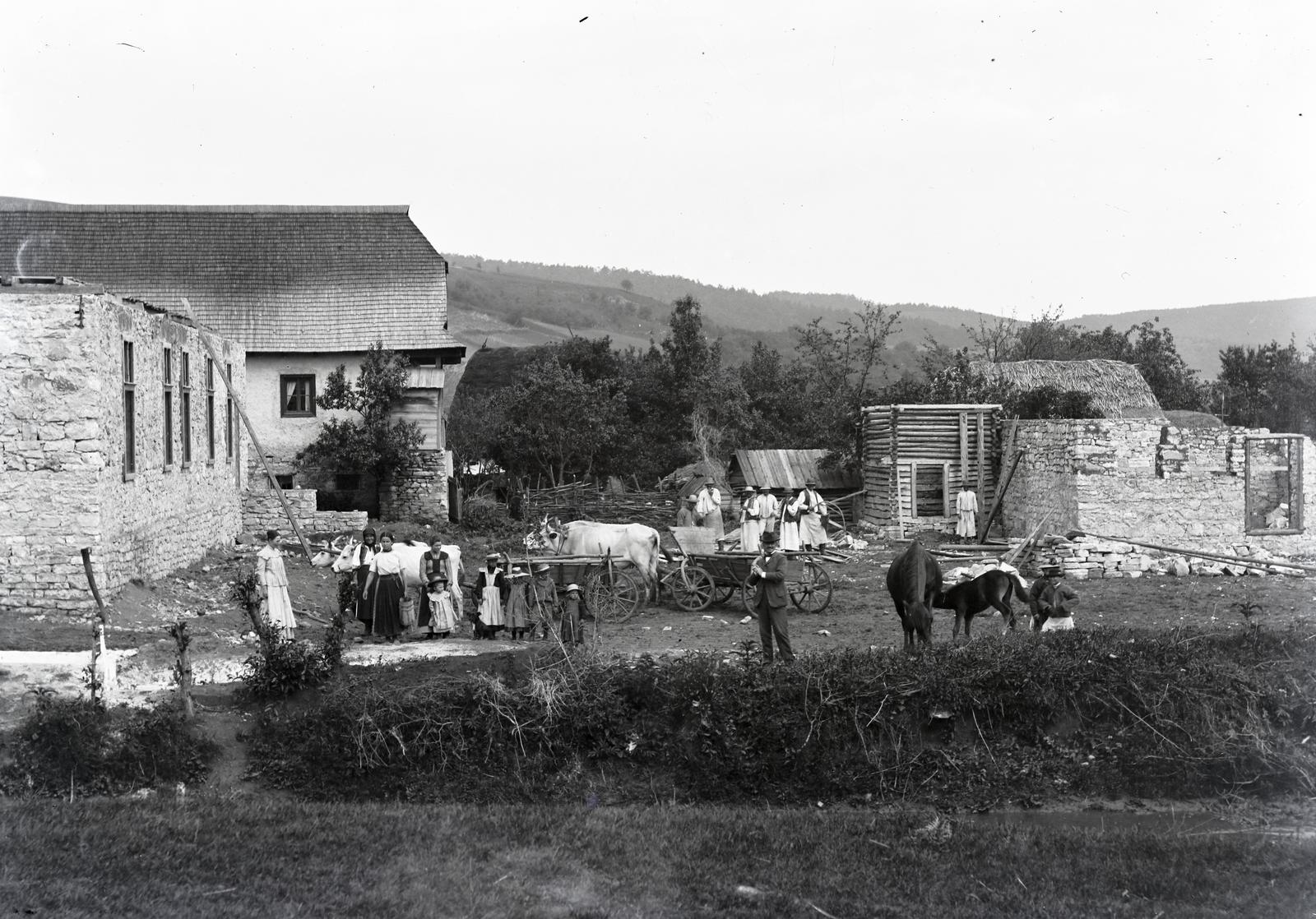 1909, Gödény János, népviselet, ökörfogat, lakóház, építkezés, Fortepan #309912