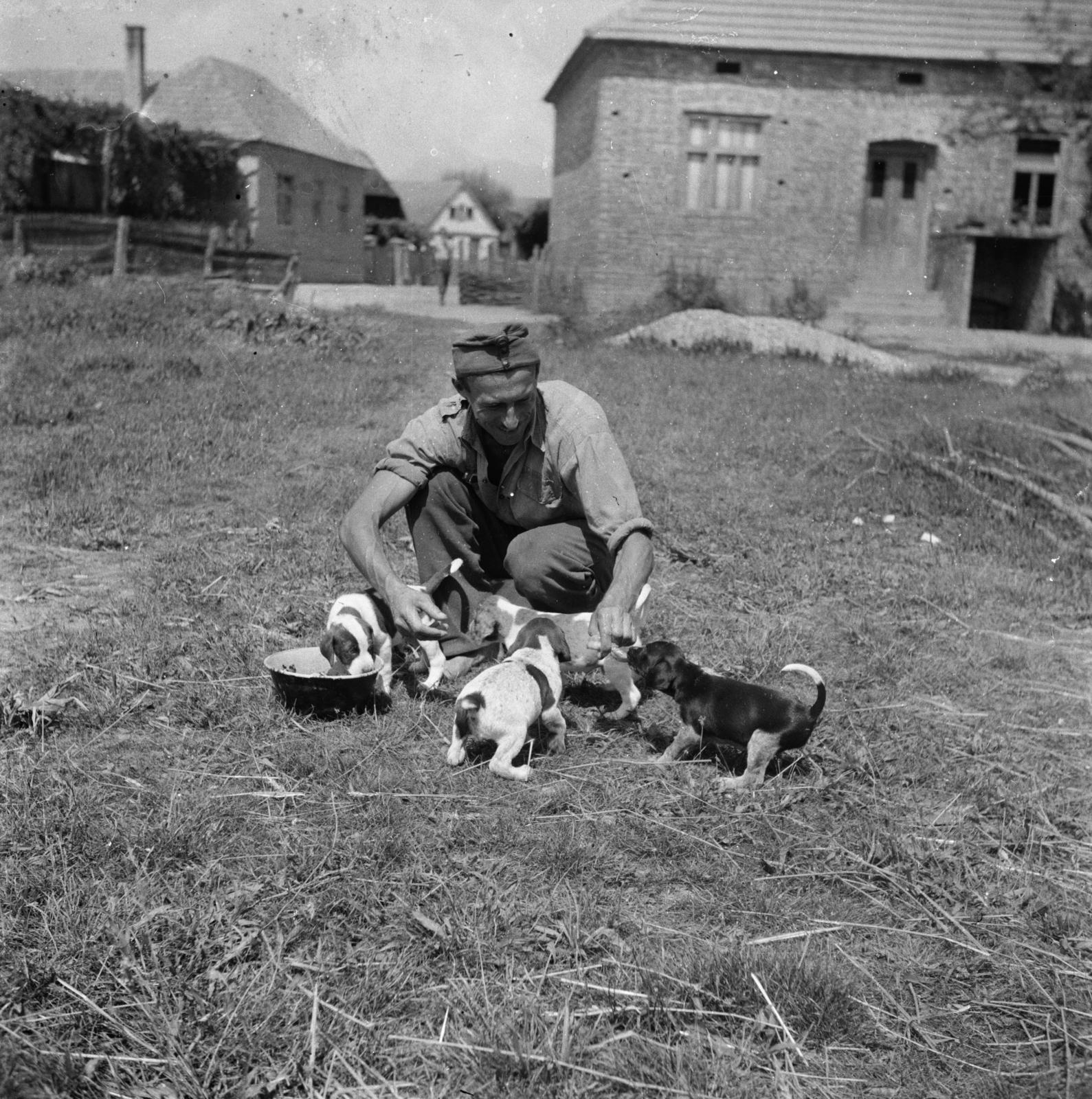 1936, Fortepan/Album 122, Fortepan #309921