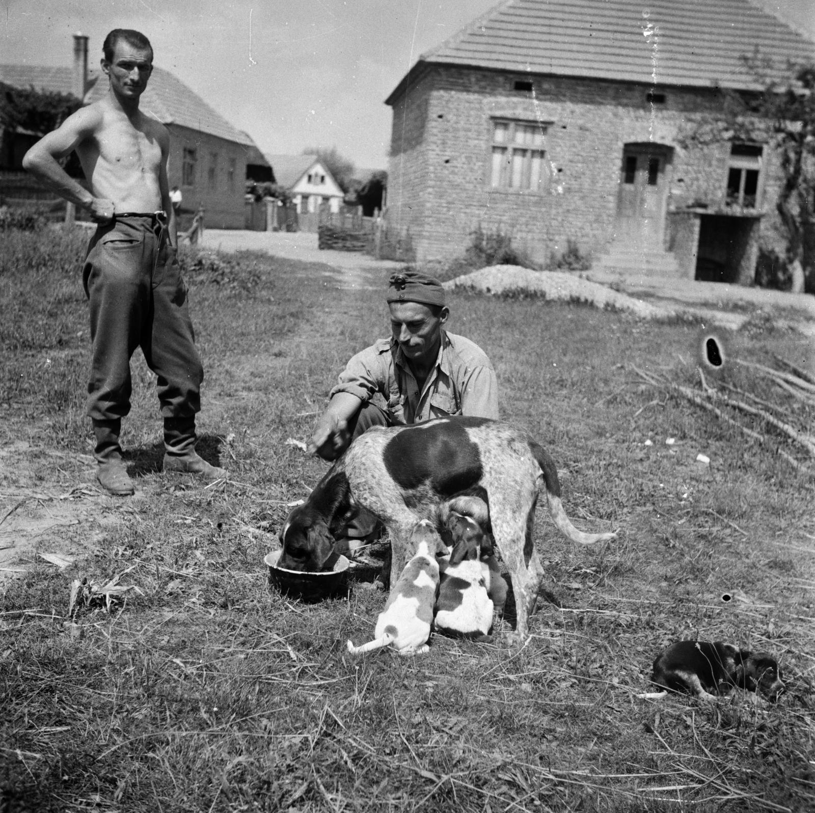 1936, Fortepan/Album 122, Fortepan #309922