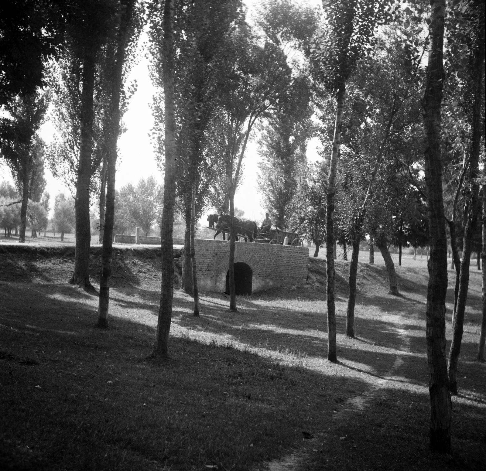 1936, Fortepan/Album 122, Fortepan #309925