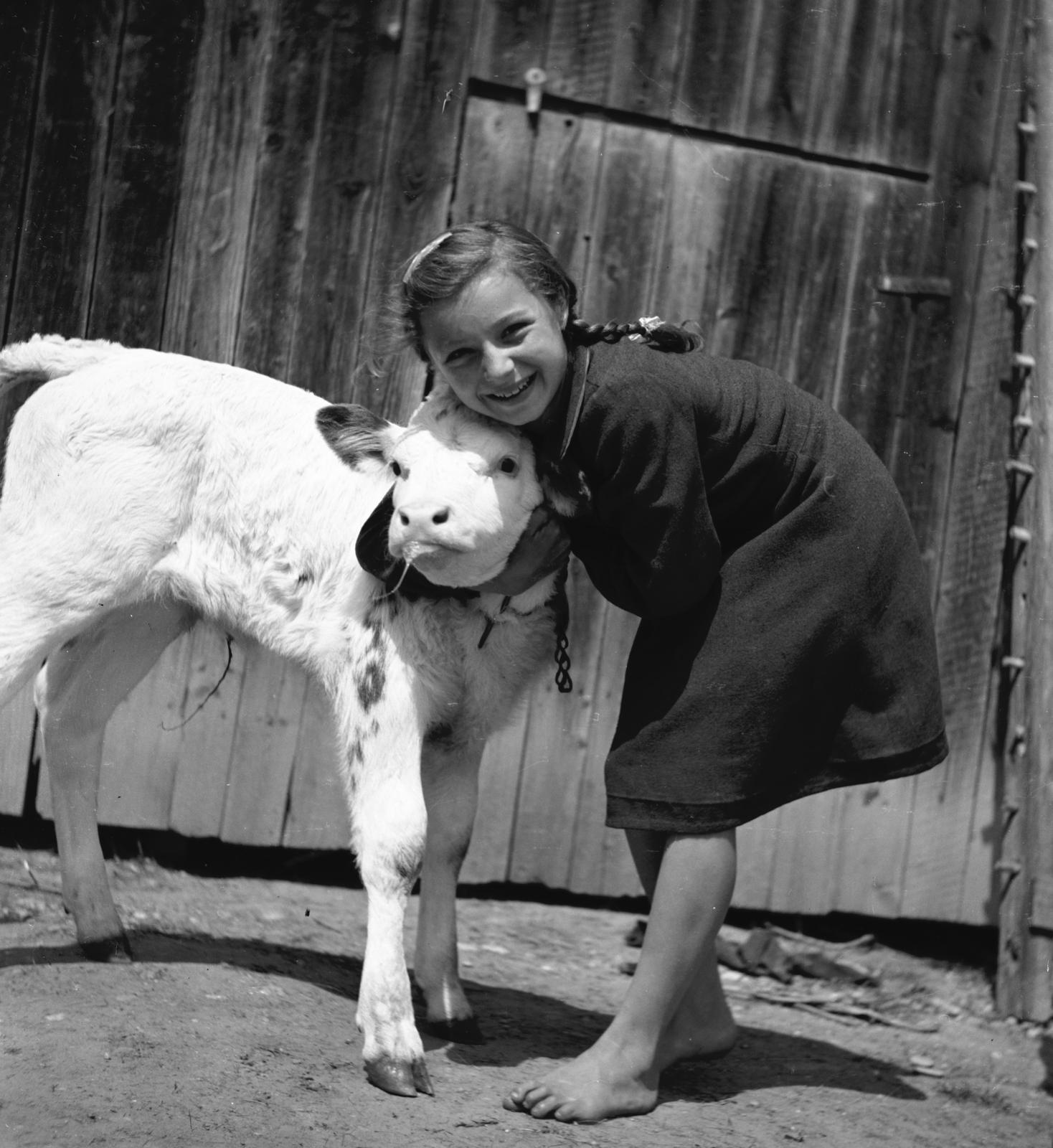 1939, Fortepan/Album 122, Best of, szarvasmarha, kislány, szeretet, Fortepan #309929