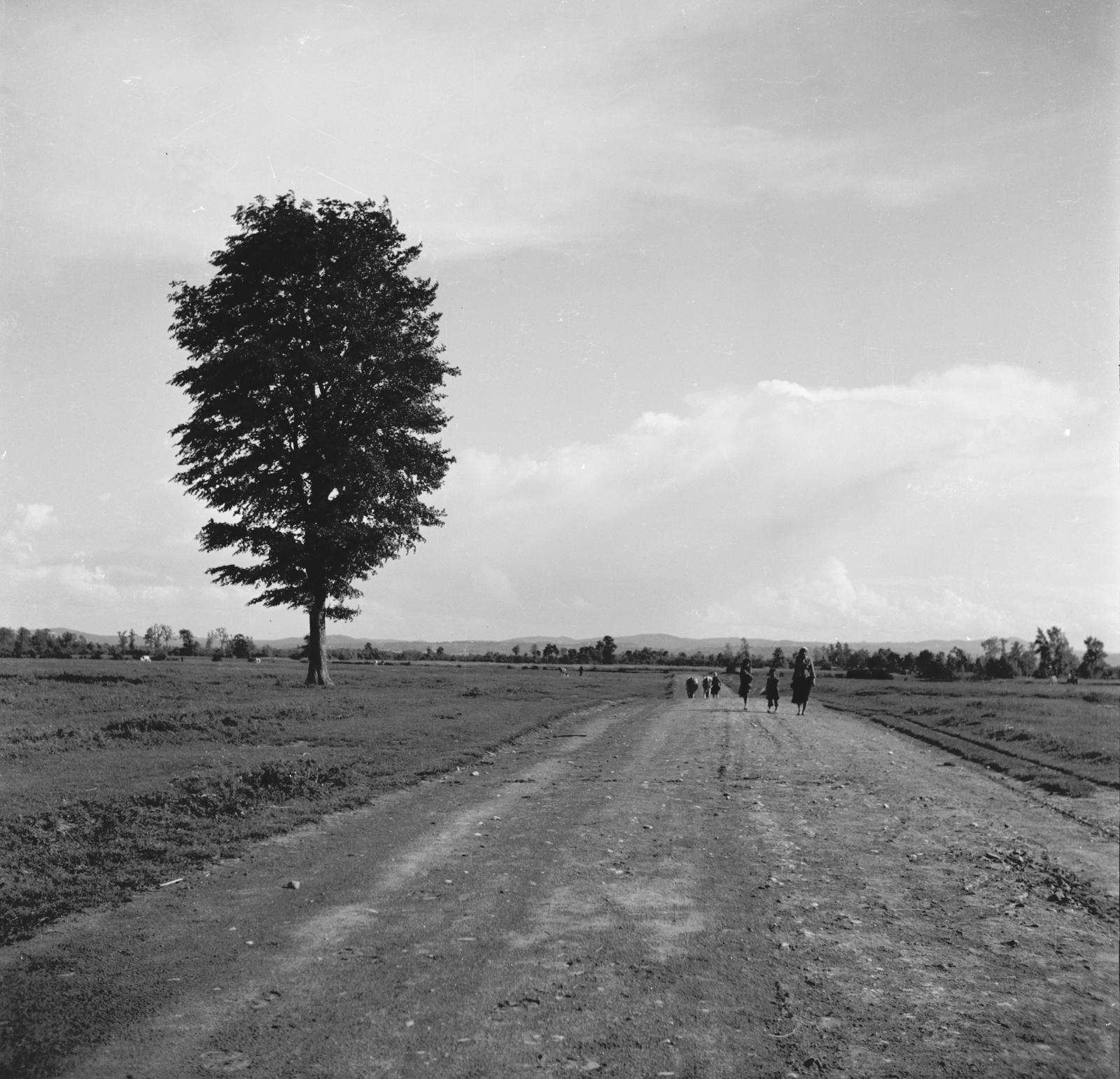 1941, Fortepan/Album 122, Fortepan #309932