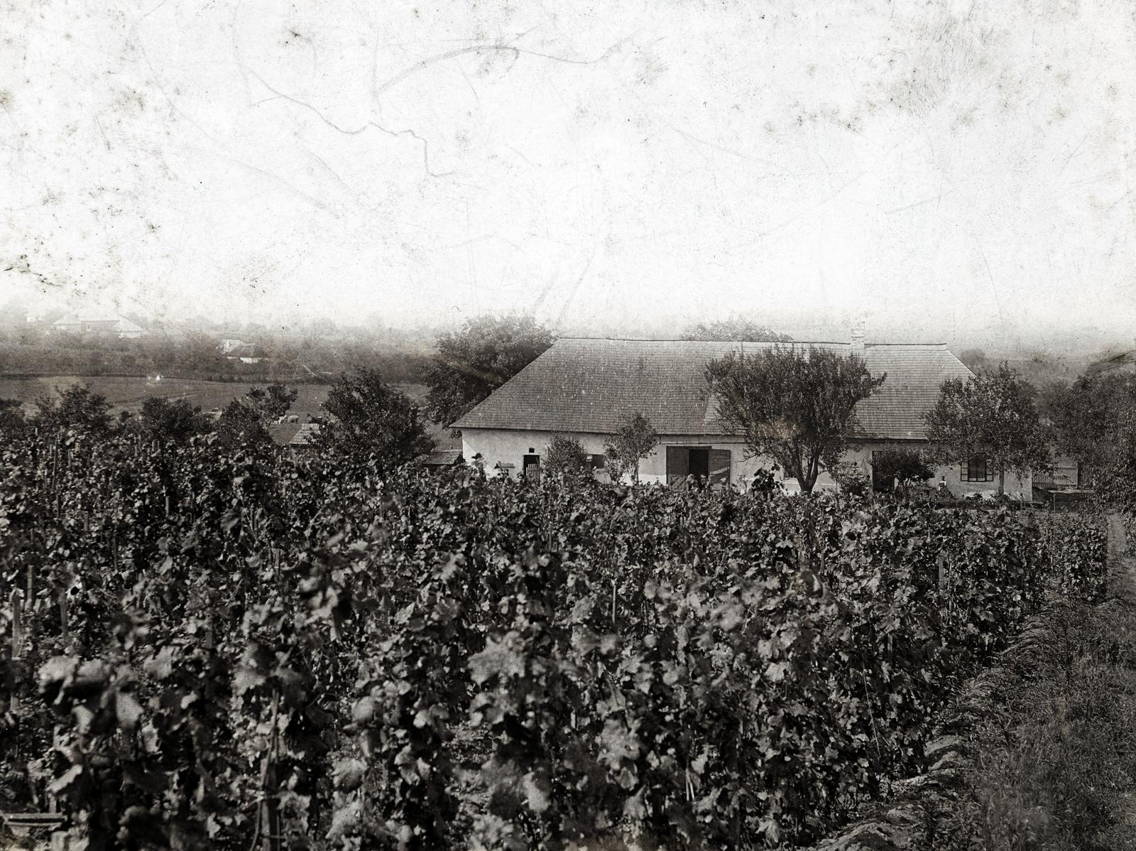 A kép forrását kérjük így adja meg: Fortepan / BFL XIV.380 Karafiáth Jenő iratai / Szekfü András adománya, 1918, Budapest Főváros Levéltára / Szekfü András, Fortepan #310043