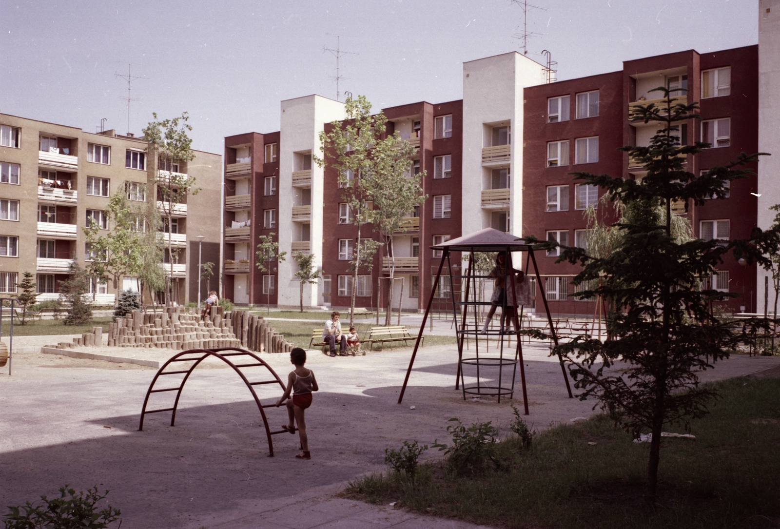 Hungary, Tata-Tóváros, Dózsakert lakótelep, Vadász utcai házak a park felől., 1979, Építésügyi Dokumentációs és Információs Központ, VÁTI, playground, colorful, blocks, genre painting, aerial, pine, Fortepan #31008