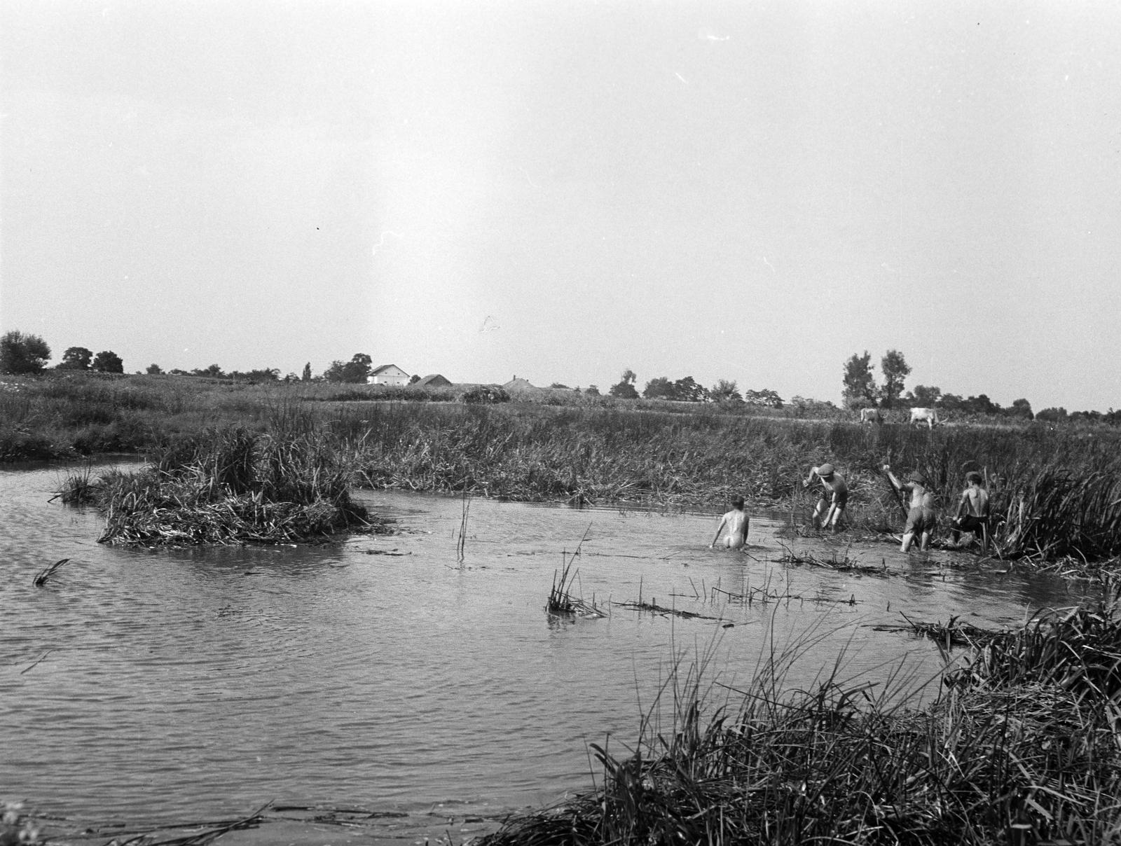 1933, Kirilly Gergely, Fortepan #310123