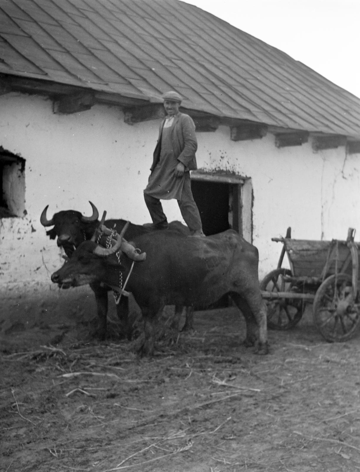 1933, Kirilly Gergely, Fortepan #310125