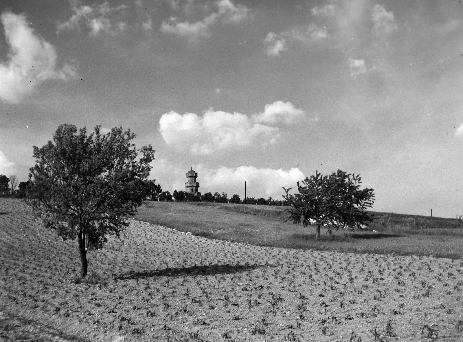 1938, Kirilly Gergely, Fortepan #310142