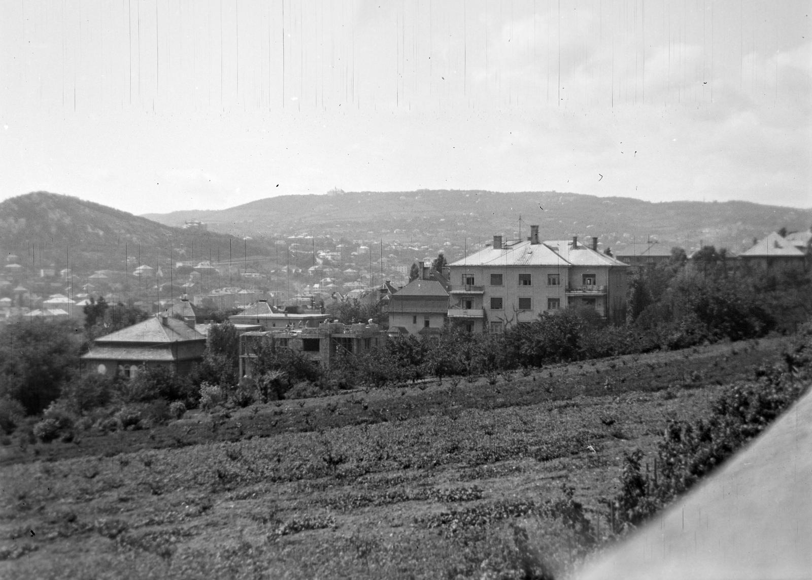 1939, Fortepan #310147