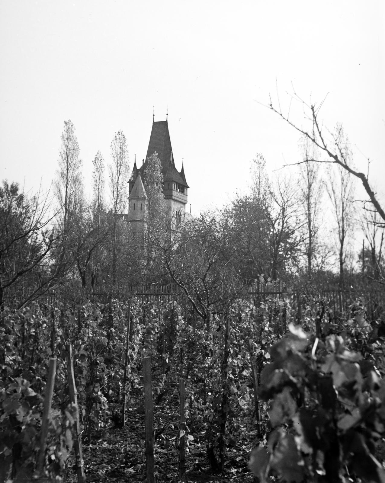 1938, Kirilly Gergely, Fortepan #310209