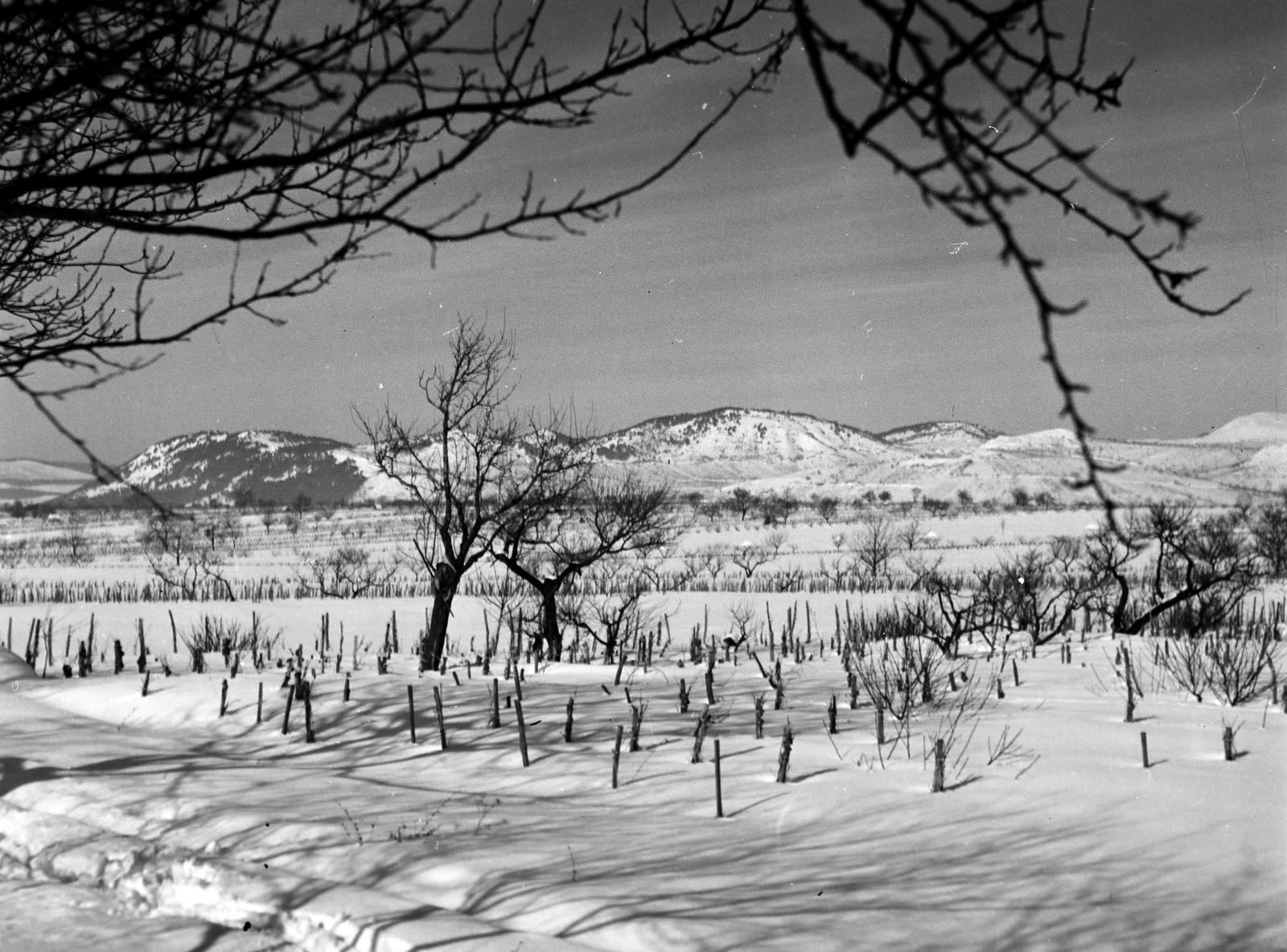 1938, Kirilly Gergely, Fortepan #310211