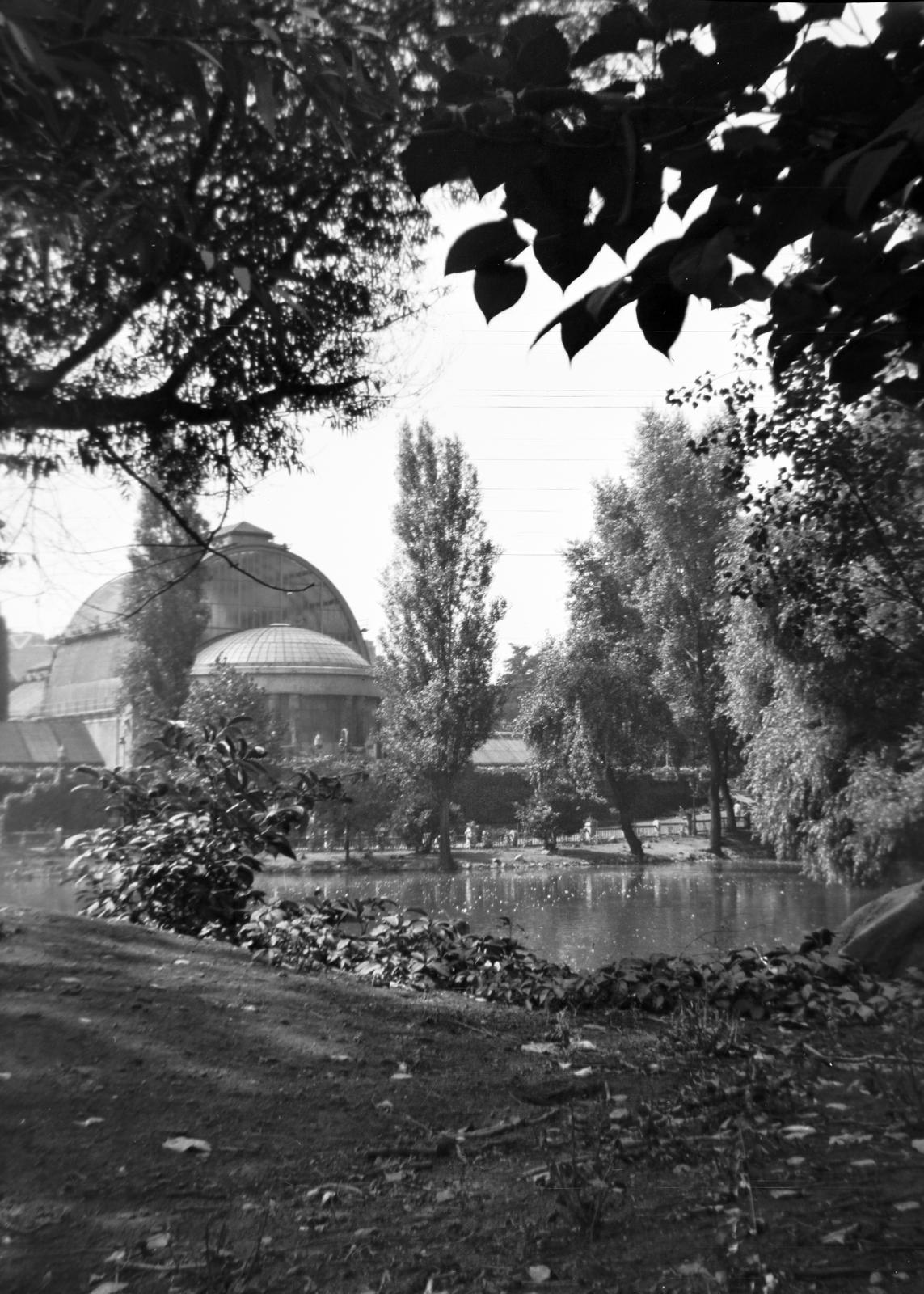 1938, Kirilly Gergely, Fortepan #310216