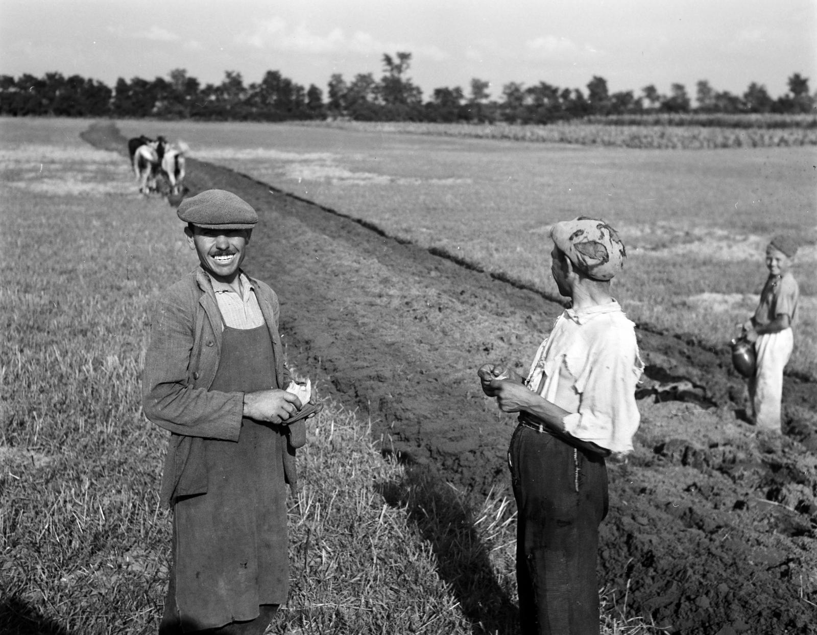 1939, Best of, mezőgazdaság, Fortepan #310244