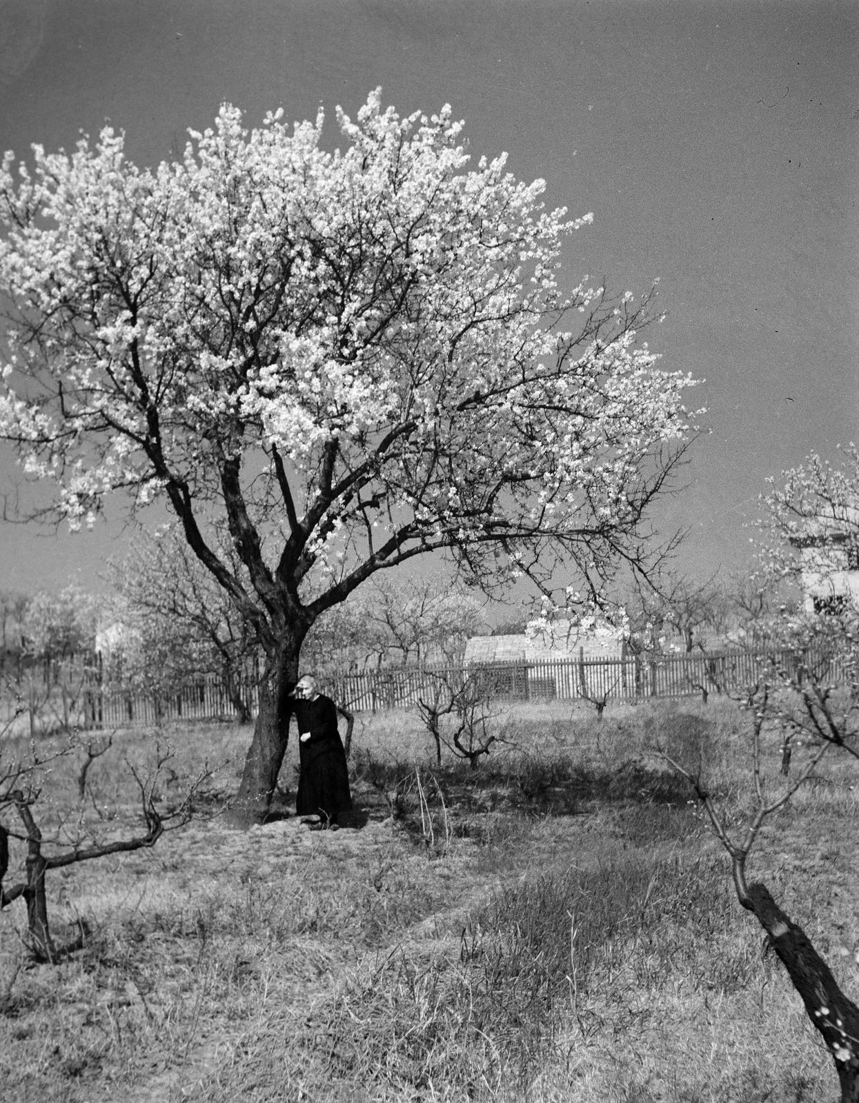 1937, Fortepan #310271