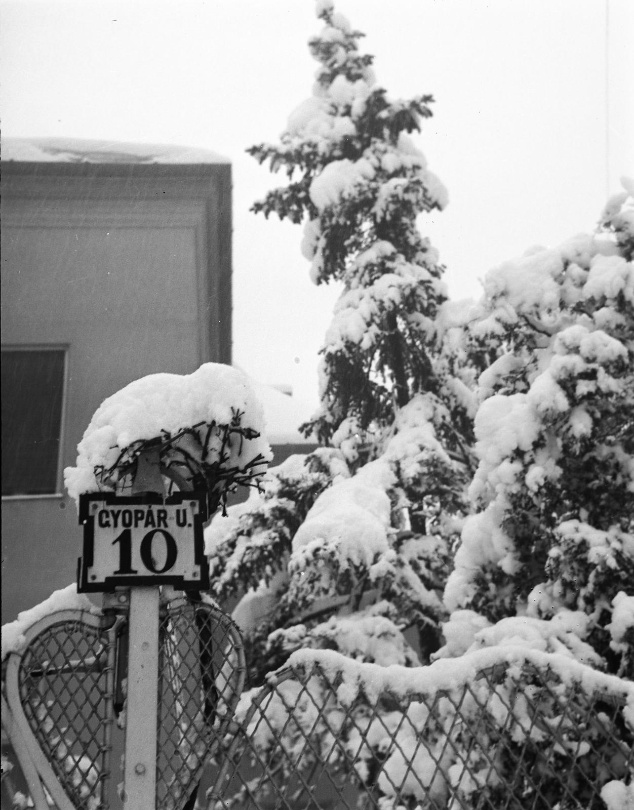 1937, Fortepan #310272