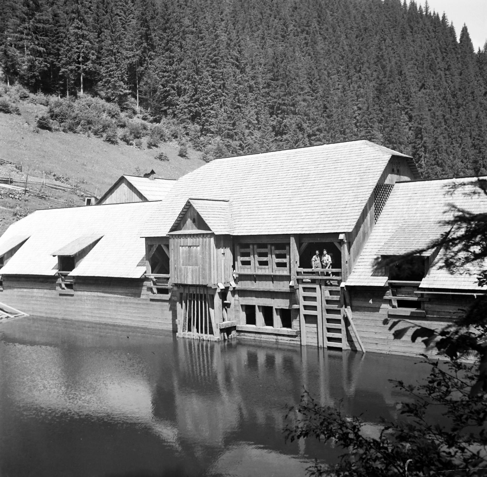 1941, Kirilly Gergely, Fortepan #310295