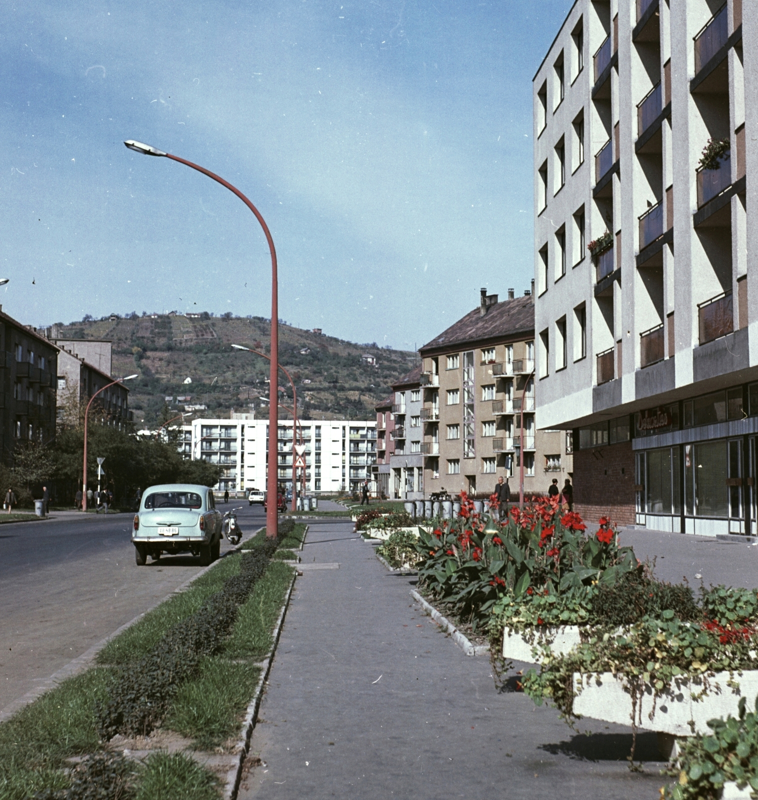 Hungary, Uránváros, Pécs, Ybl Miklós utca a Makár-hegy felé nézve., 1968, Építésügyi Dokumentációs és Információs Központ, VÁTI, colorful, Moskvitch-brand, flower, lamp post, Fortepan #31036