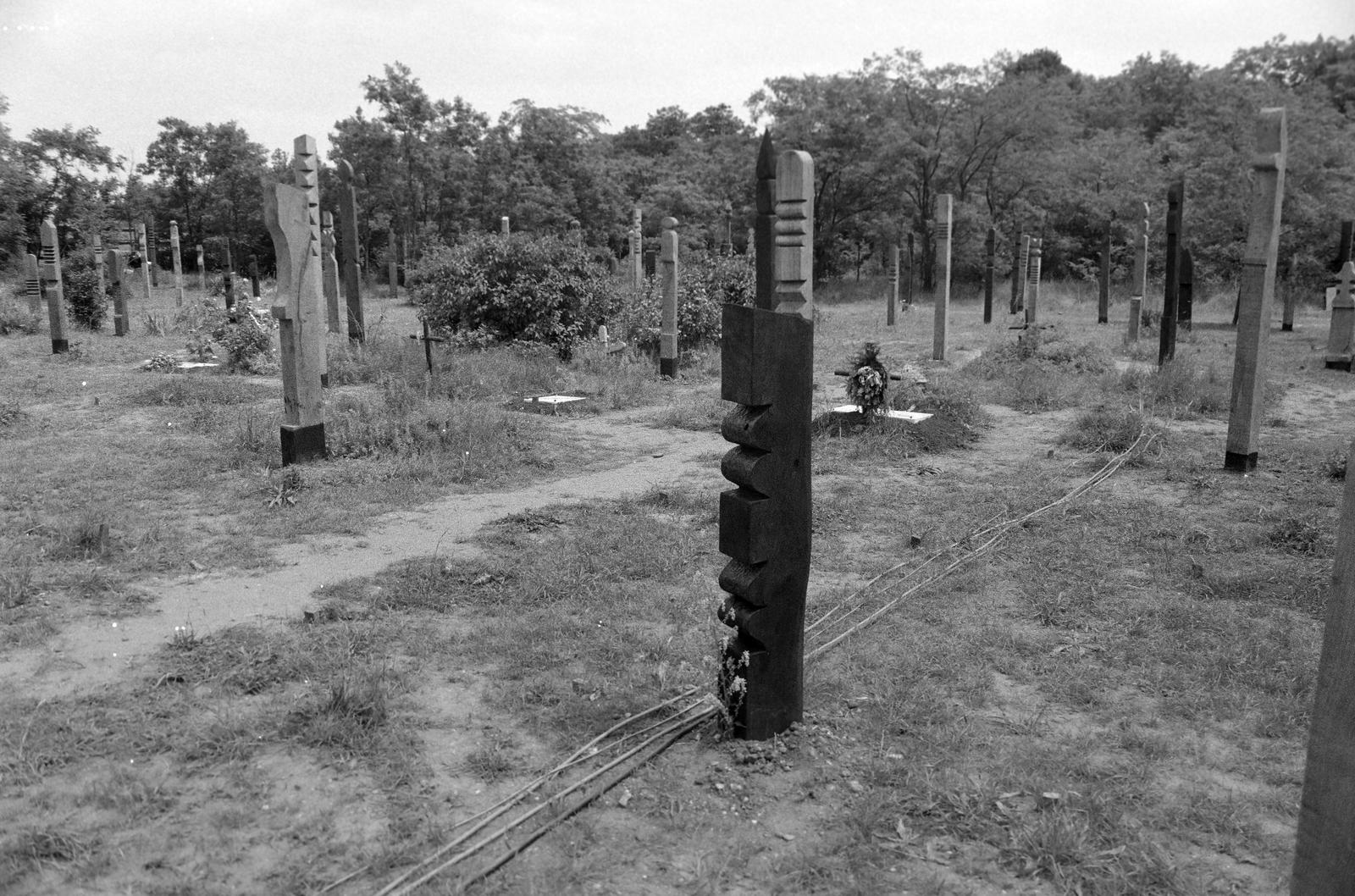 1989, Krizsán Árpád, Fortepan #310427