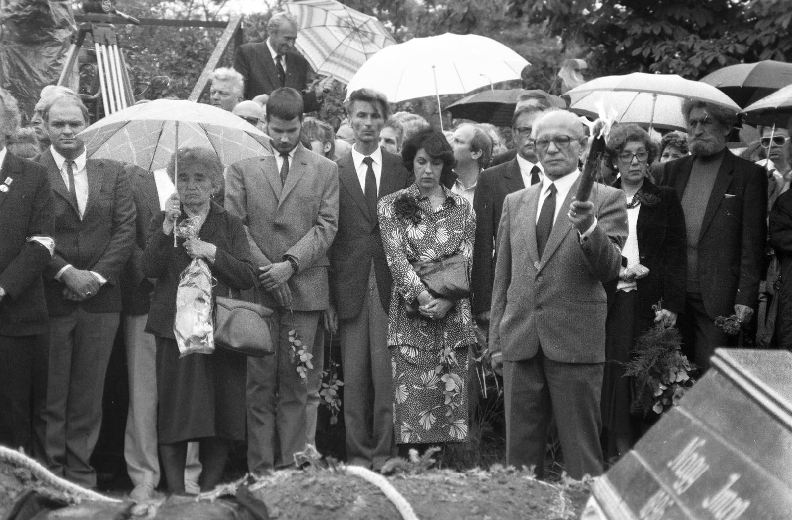 1989, Krizsán Árpád, Fortepan #310447