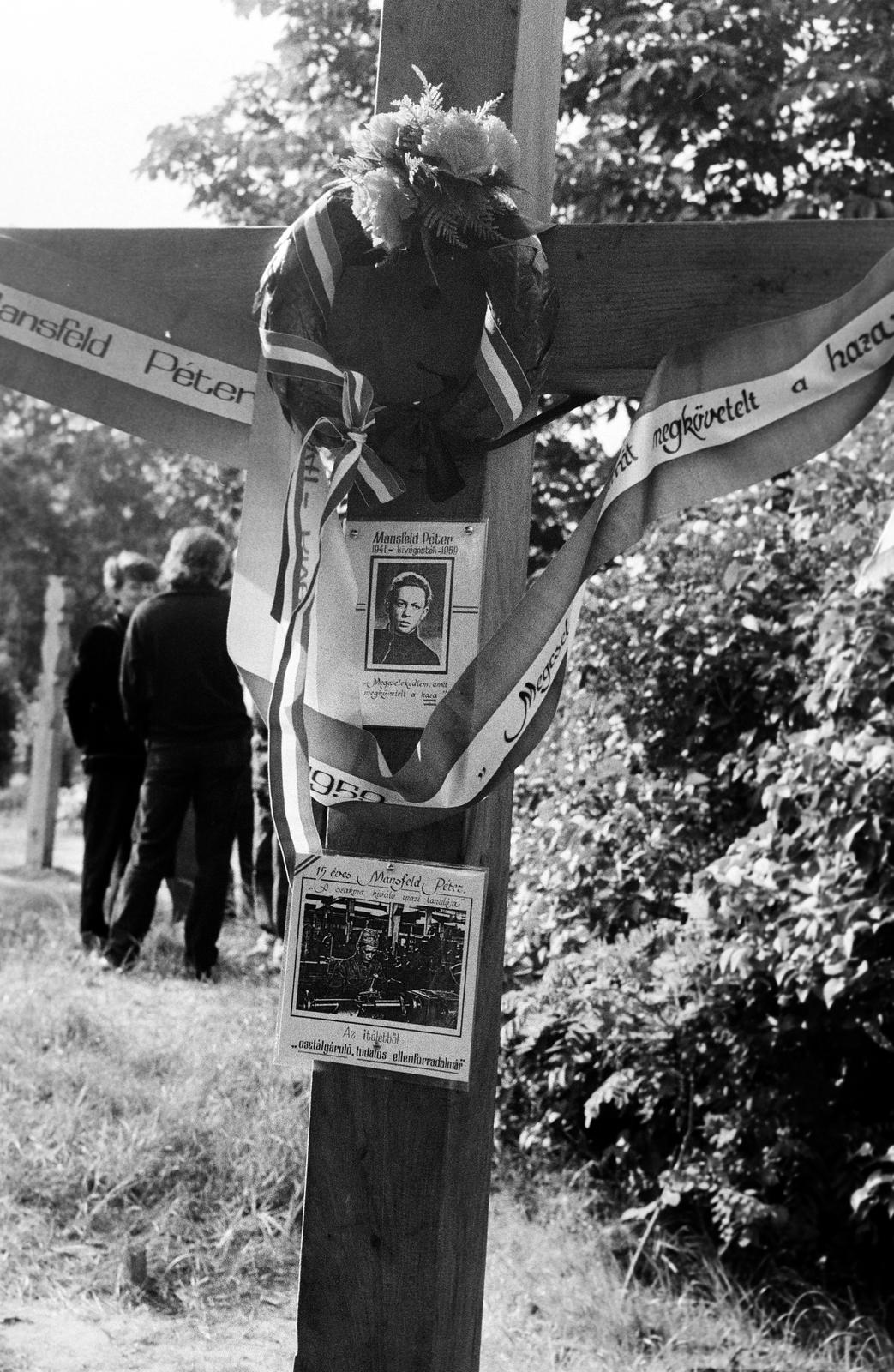 1989, Krizsán Árpád, Fortepan #310451