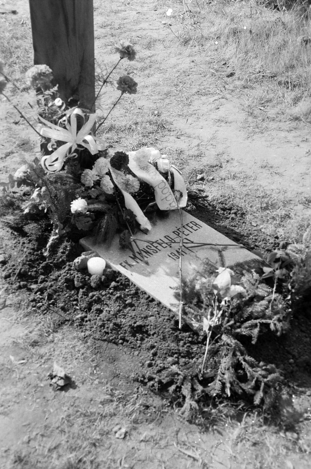 1989, Krizsán Árpád, Fortepan #310452