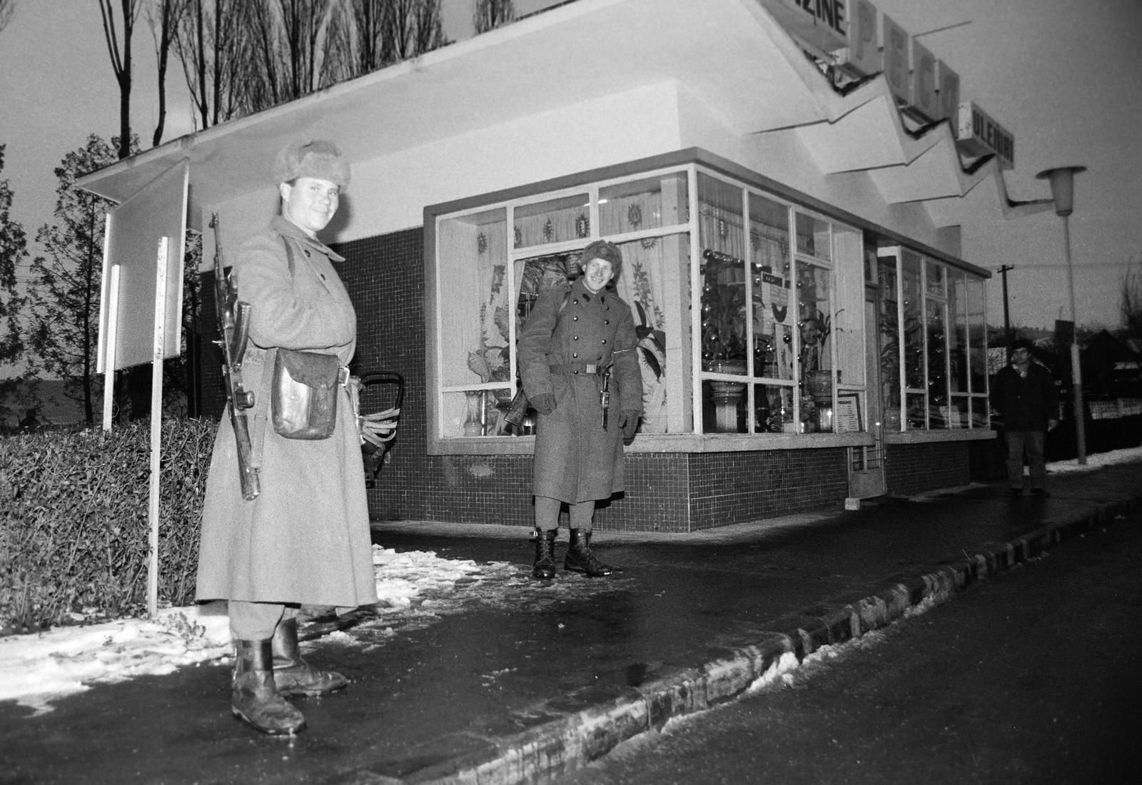 1989, Krizsán Árpád, Fortepan #310533