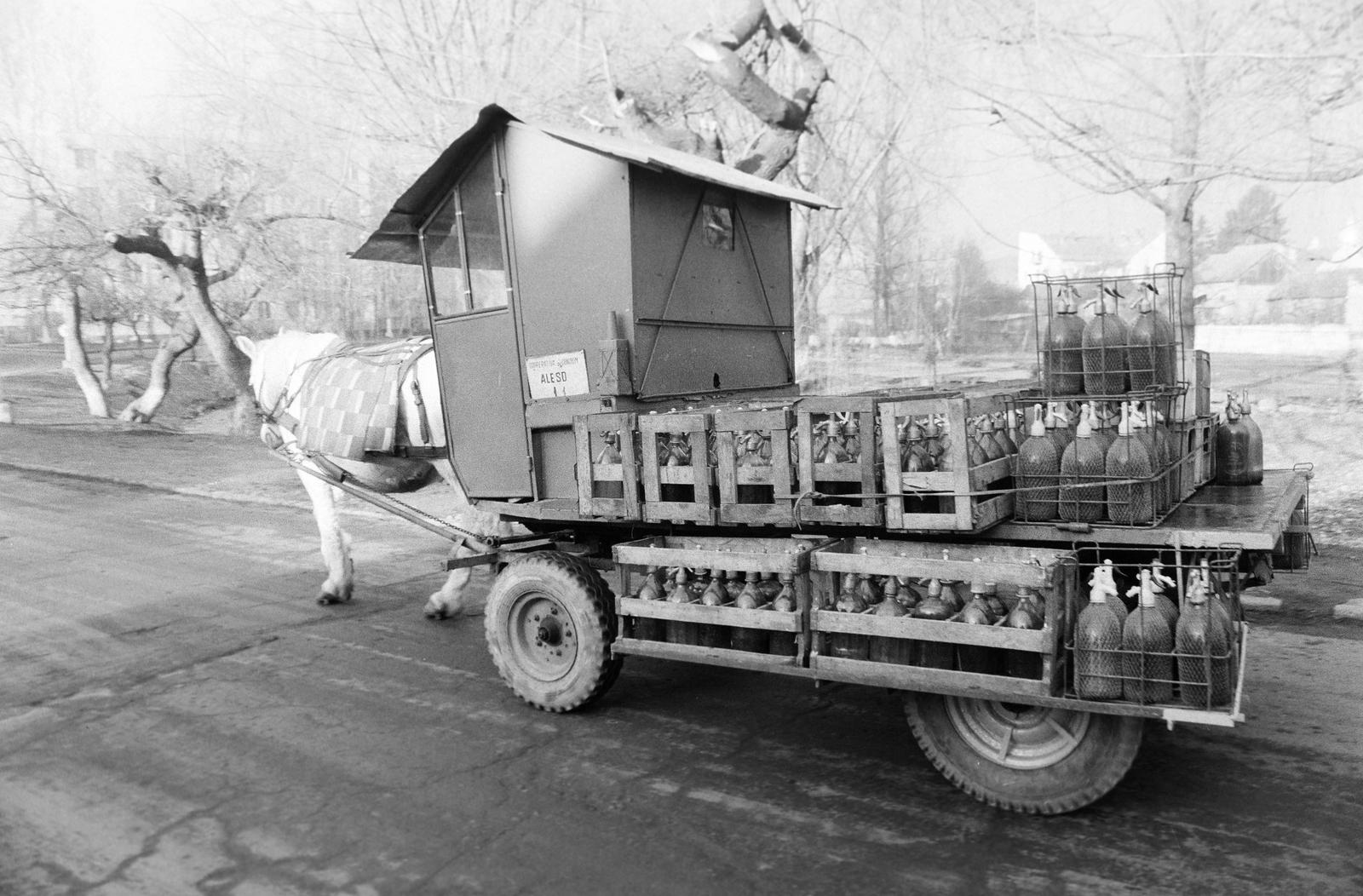 1989, Krizsán Árpád, Fortepan #310543