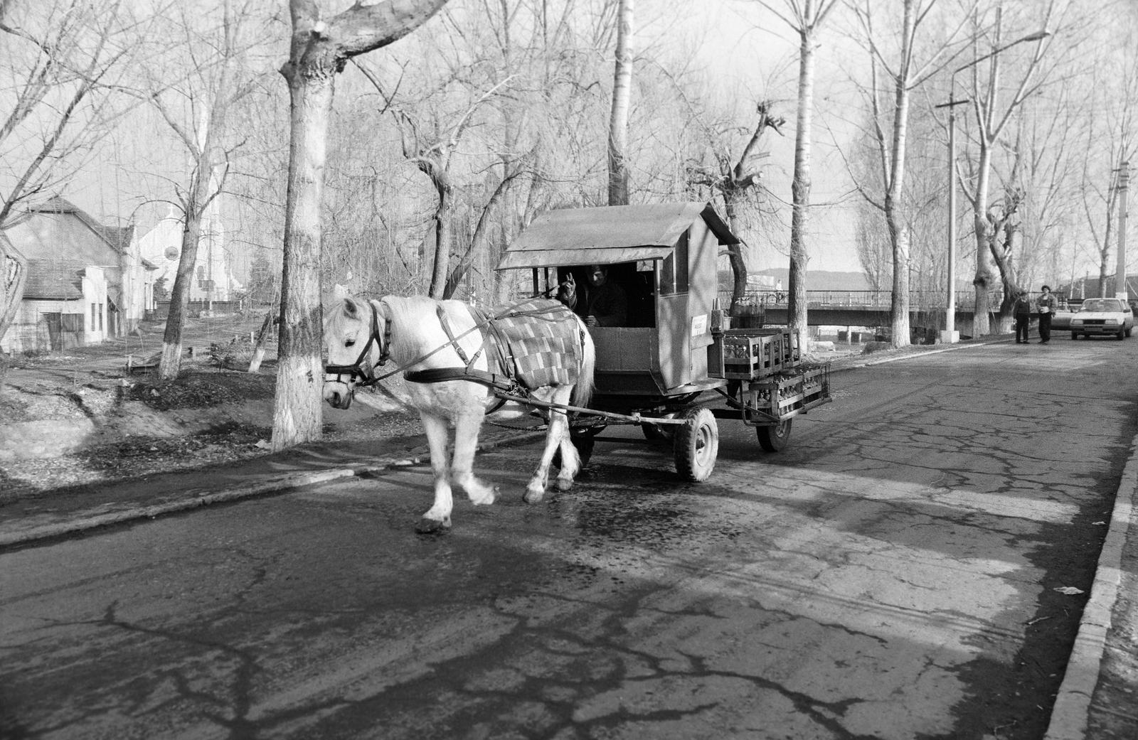 1989, Krizsán Árpád, Fortepan #310544