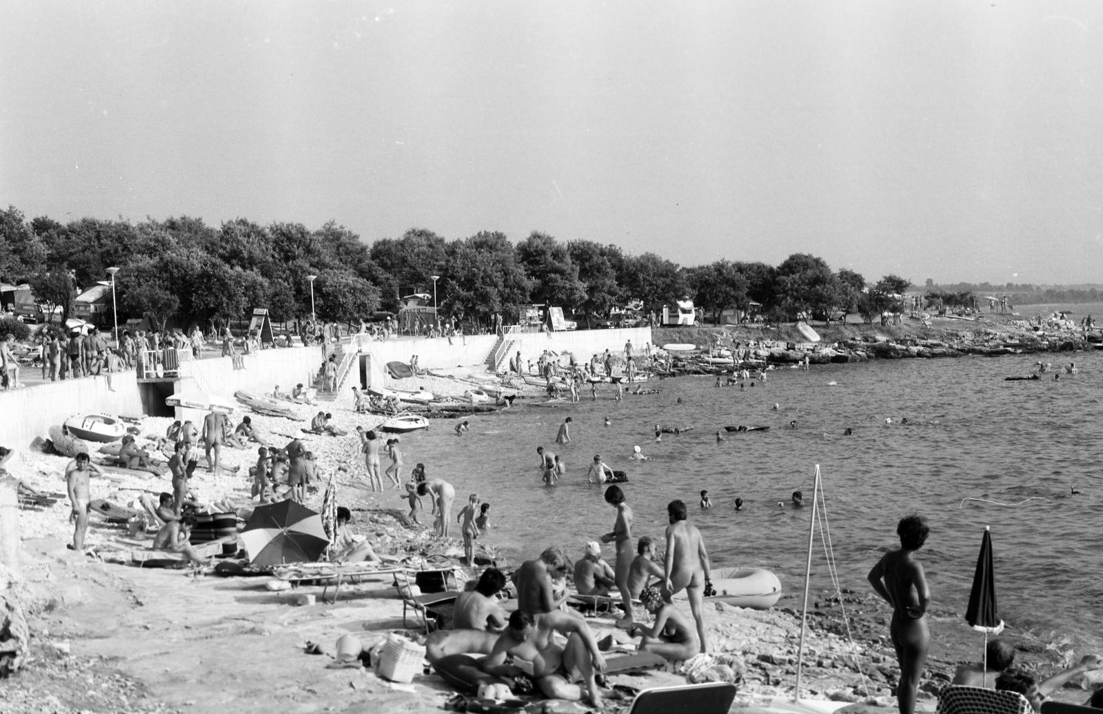 1986, Ladinek Viktor, Fortepan #310642