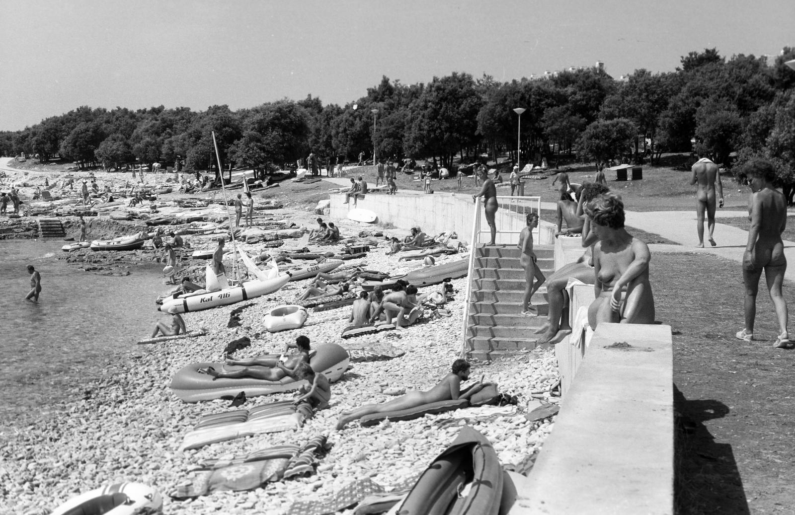 1986, Ladinek Viktor, Fortepan #310643