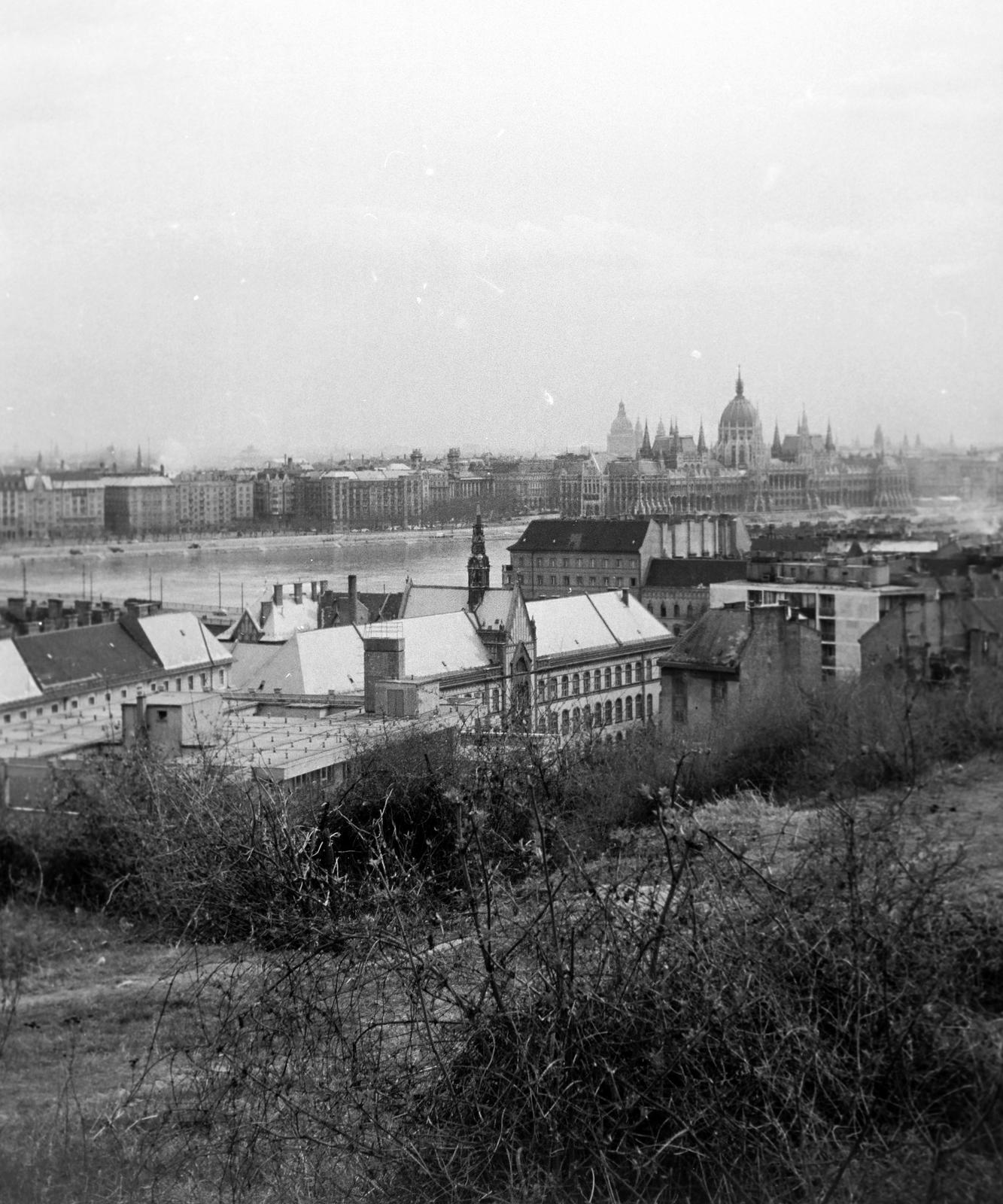 1963, Lindner család, Fortepan #310732