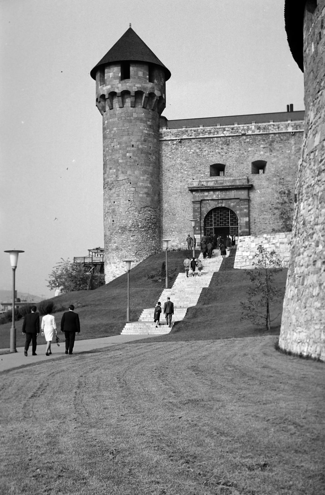 1965, Lindner család, Fortepan #310743