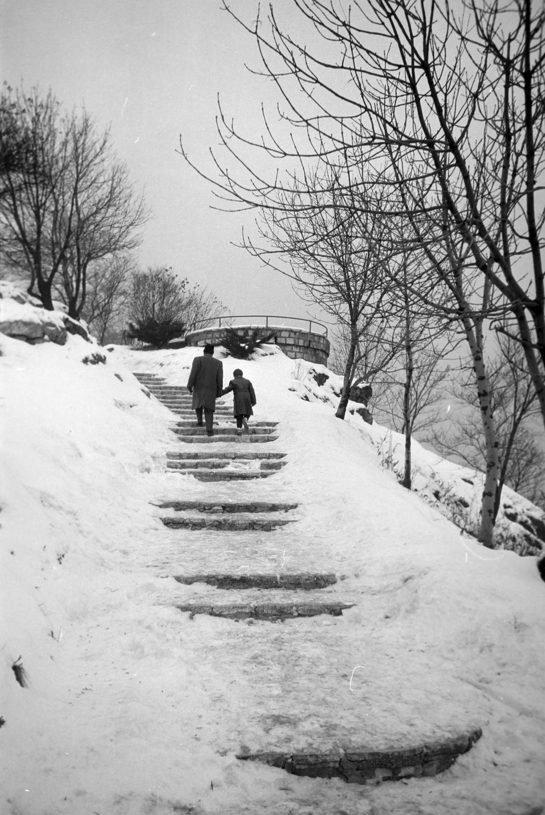 1965, Lindner család, Fortepan #310744