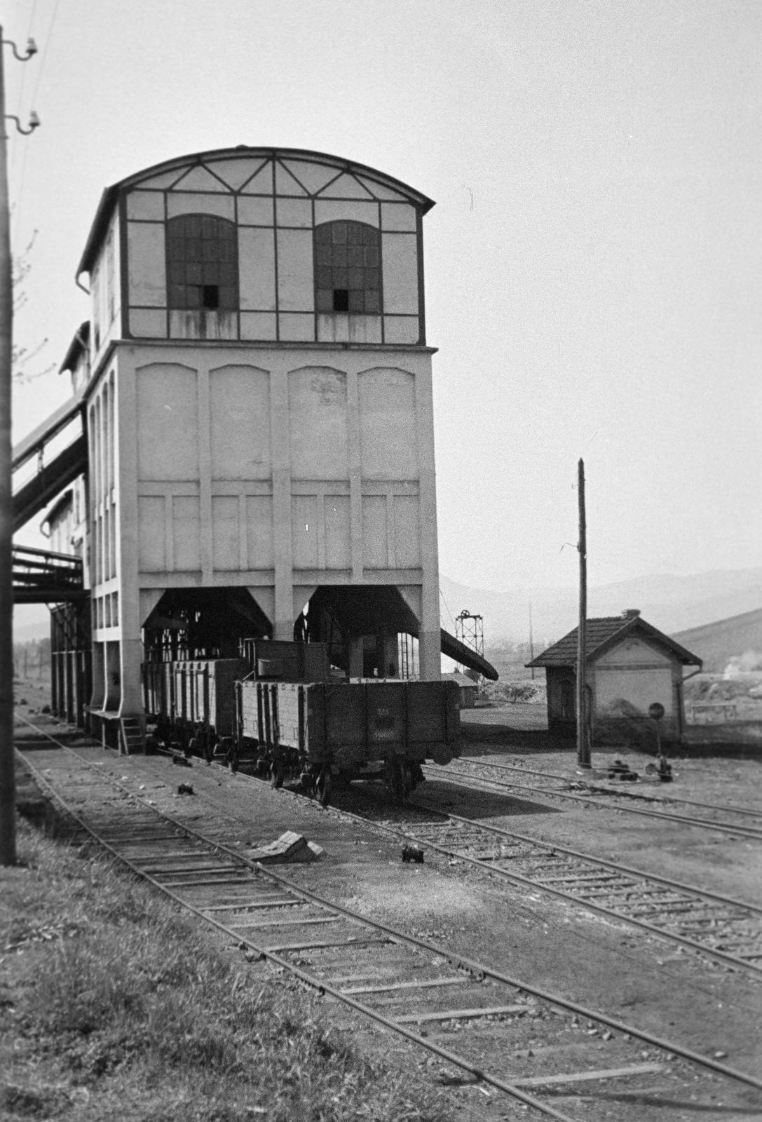 1941, Lindner család, Fortepan #310748