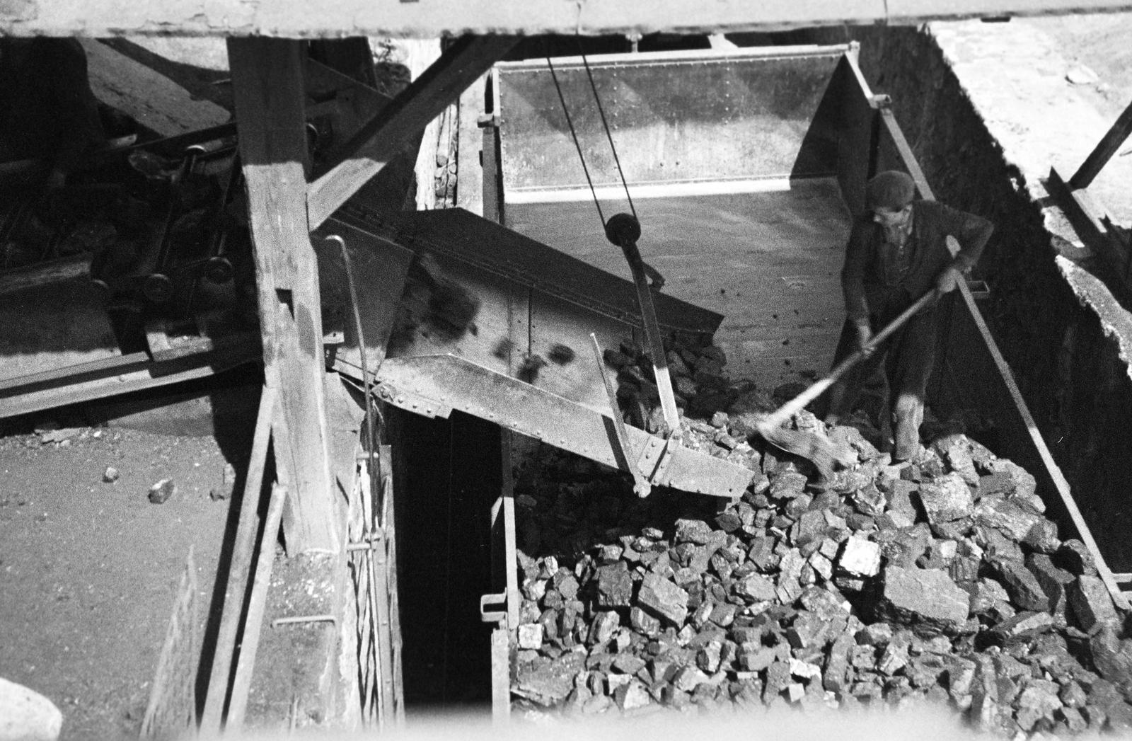 1941, Lindner család, Fortepan #310758