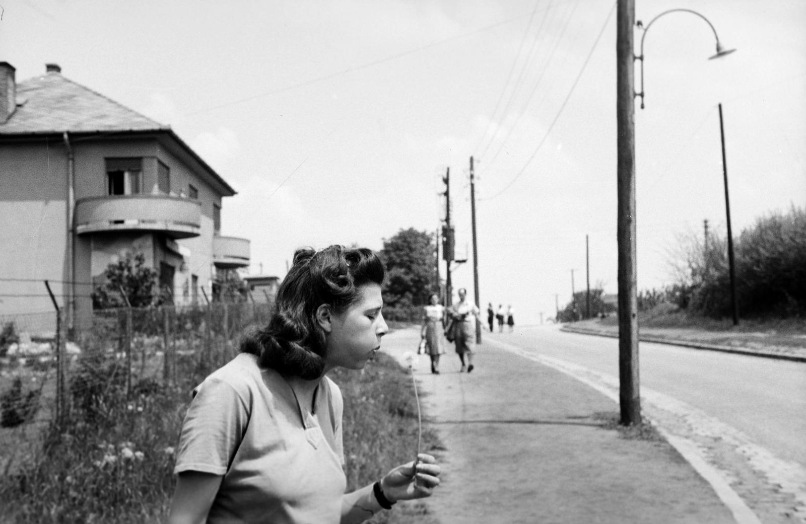 1942, Lindner család, Fortepan #310772