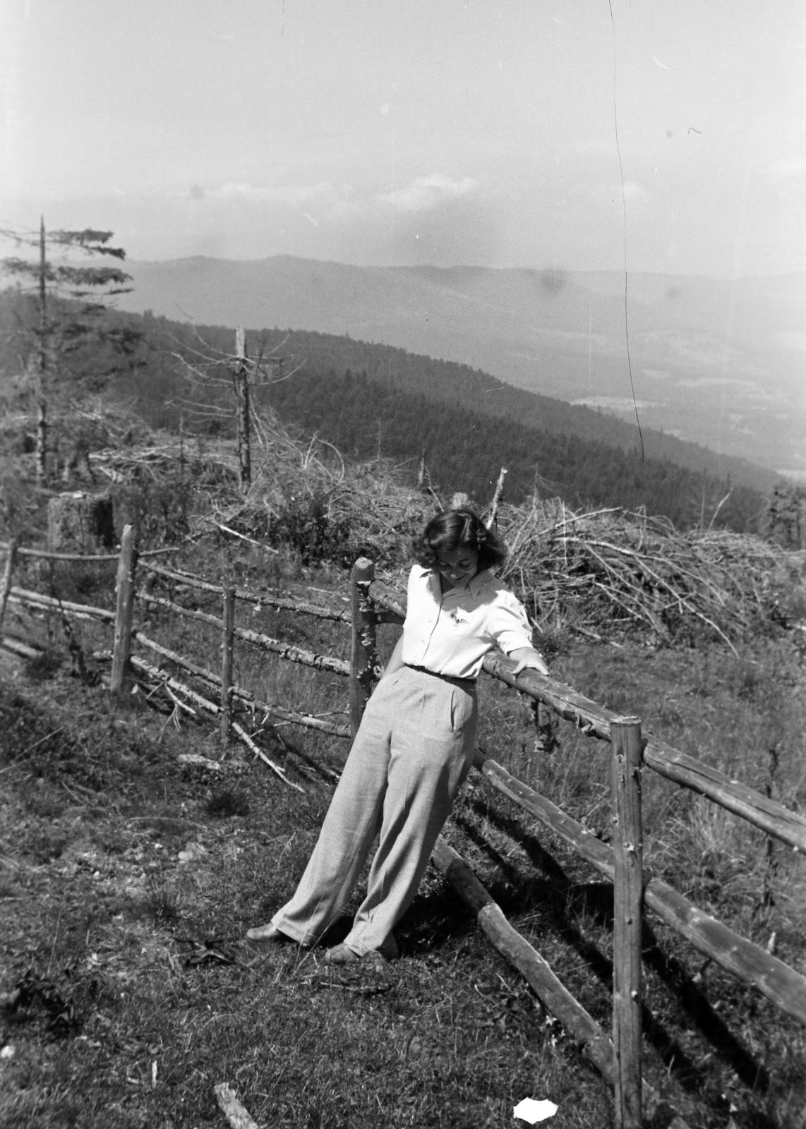 1942, Lindner család, Fortepan #310787