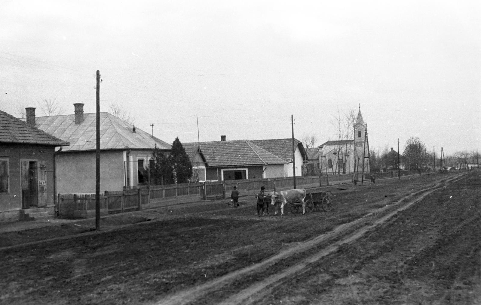 1941, Lindner család, Fortepan #310850