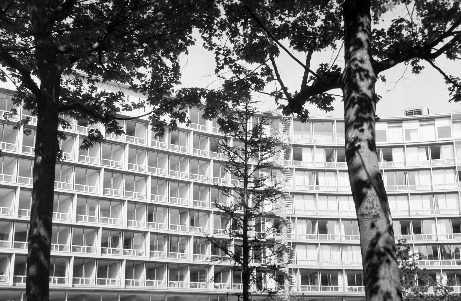 1960, Lindner család, Fortepan #310921