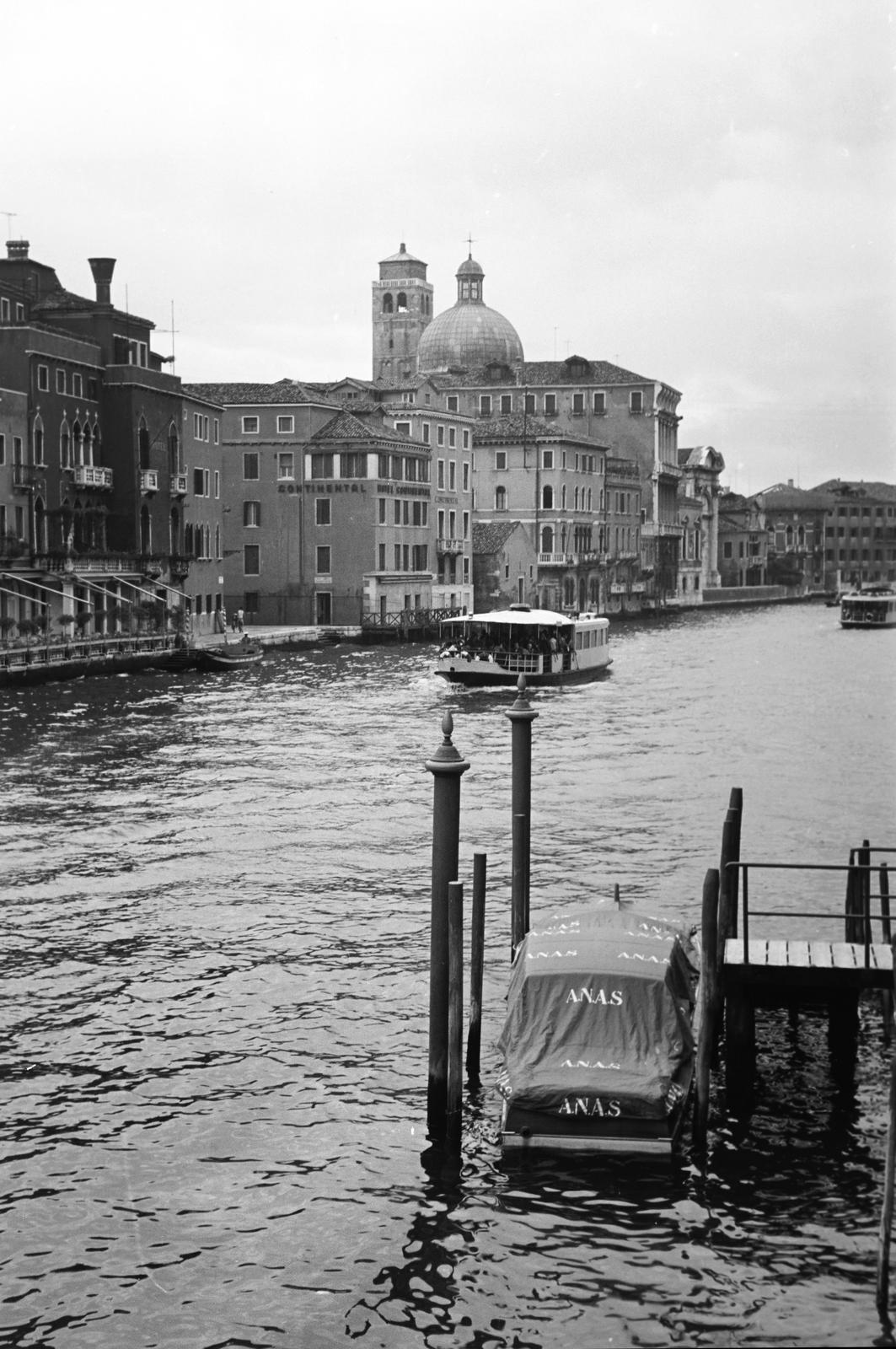 1960, Lindner család, Fortepan #310982