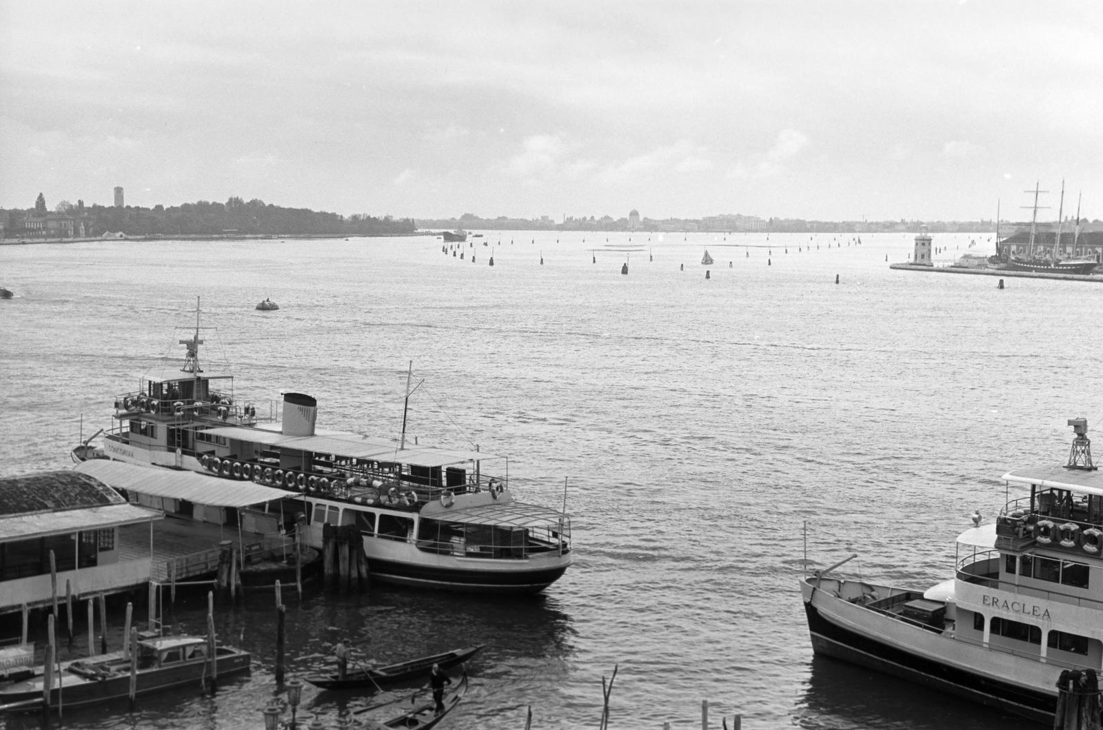 1960, Lindner család, Fortepan #310984