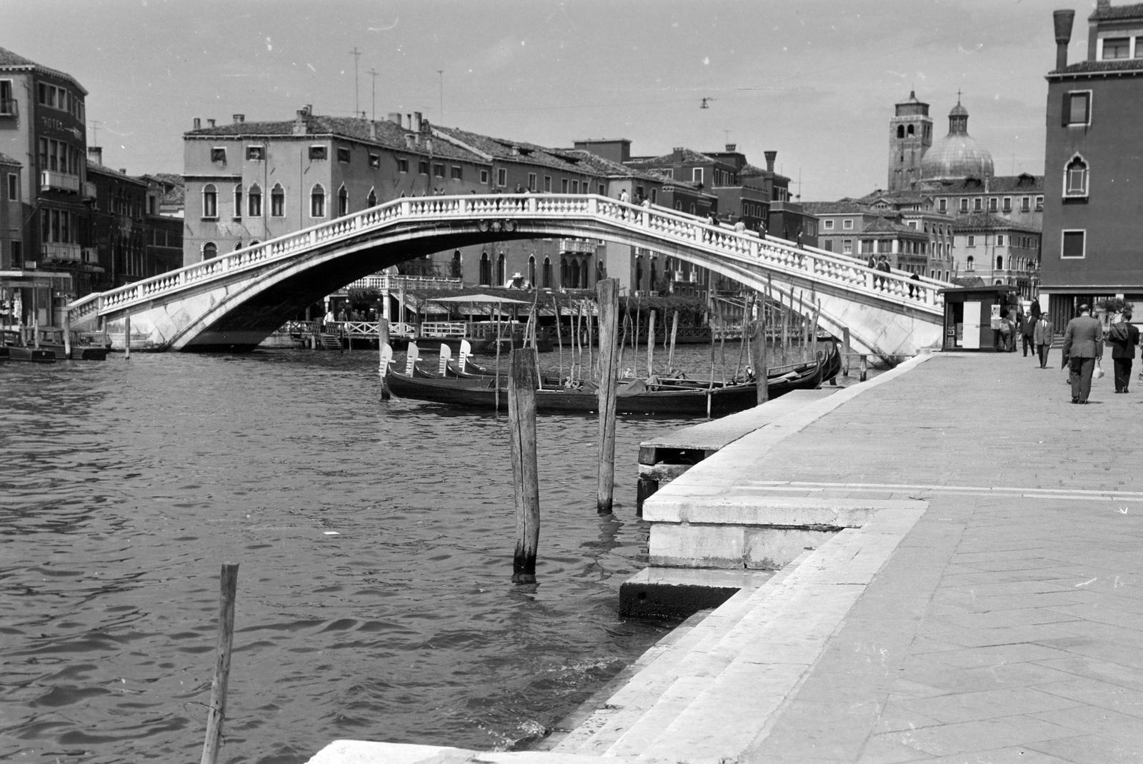 1960, Lindner család, Fortepan #310990