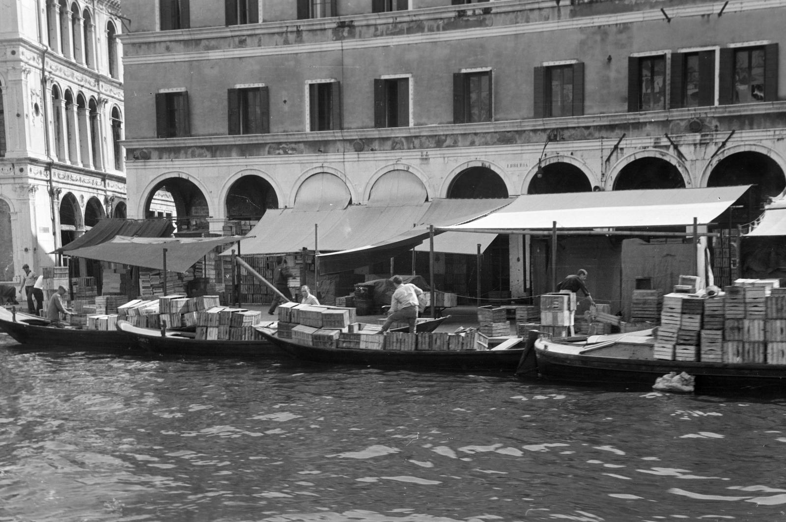 1960, Lindner család, Fortepan #310993